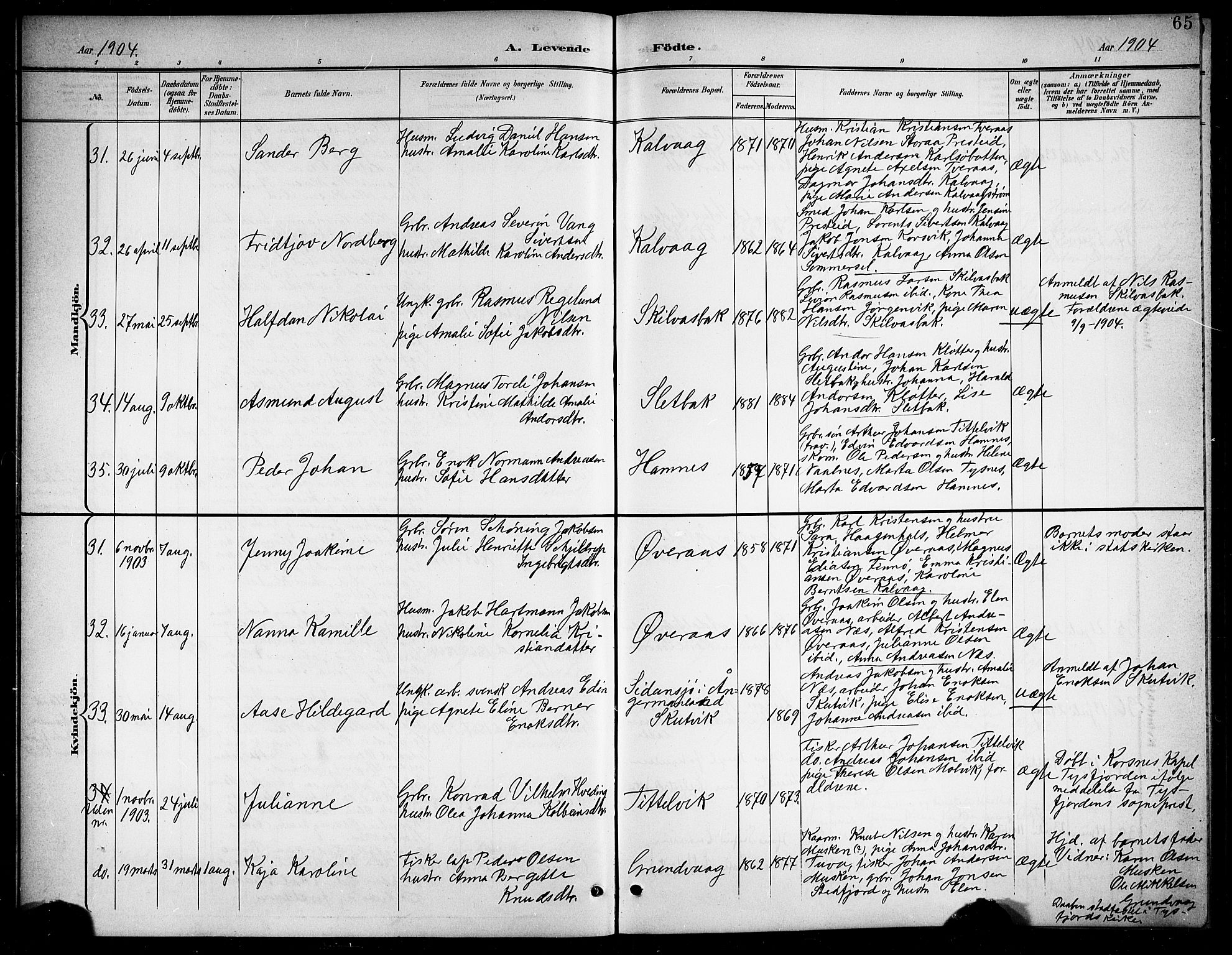 Ministerialprotokoller, klokkerbøker og fødselsregistre - Nordland, AV/SAT-A-1459/859/L0860: Parish register (copy) no. 859C06, 1899-1909, p. 65