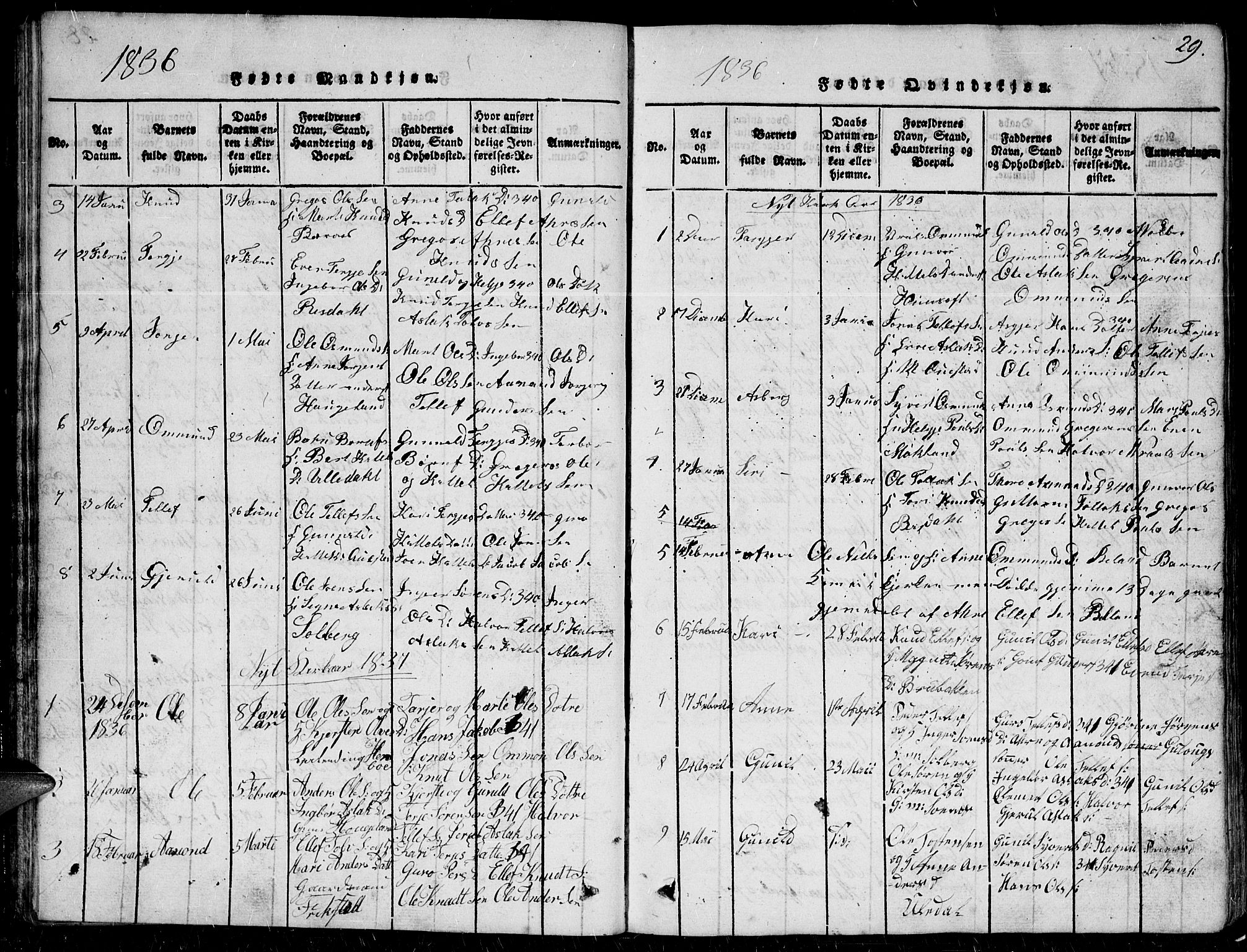 Herefoss sokneprestkontor, SAK/1111-0019/F/Fb/Fbc/L0001: Parish register (copy) no. B 1, 1816-1866, p. 29