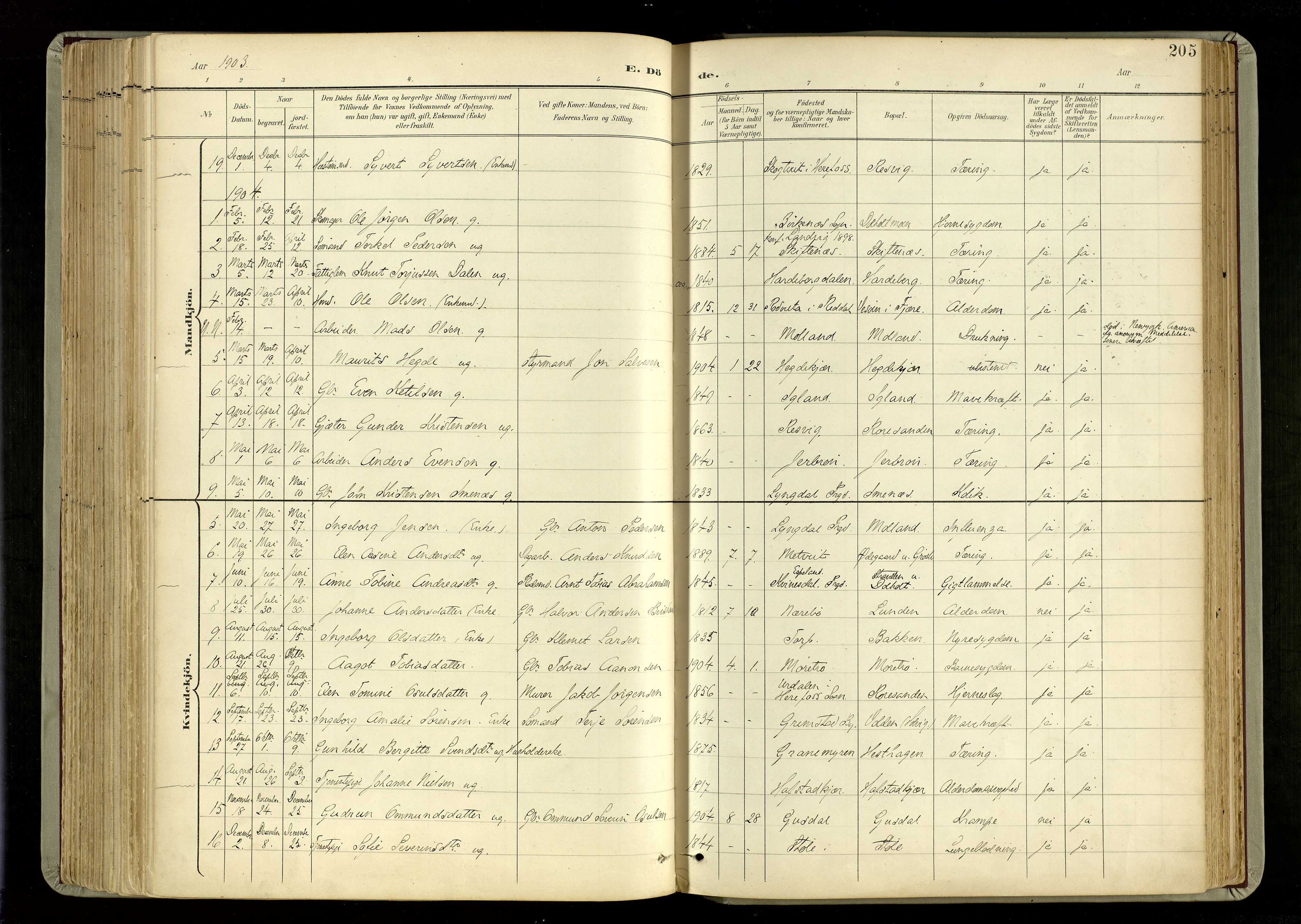 Hommedal sokneprestkontor, SAK/1111-0023/F/Fa/Fab/L0007: Parish register (official) no. A 7, 1898-1924, p. 205