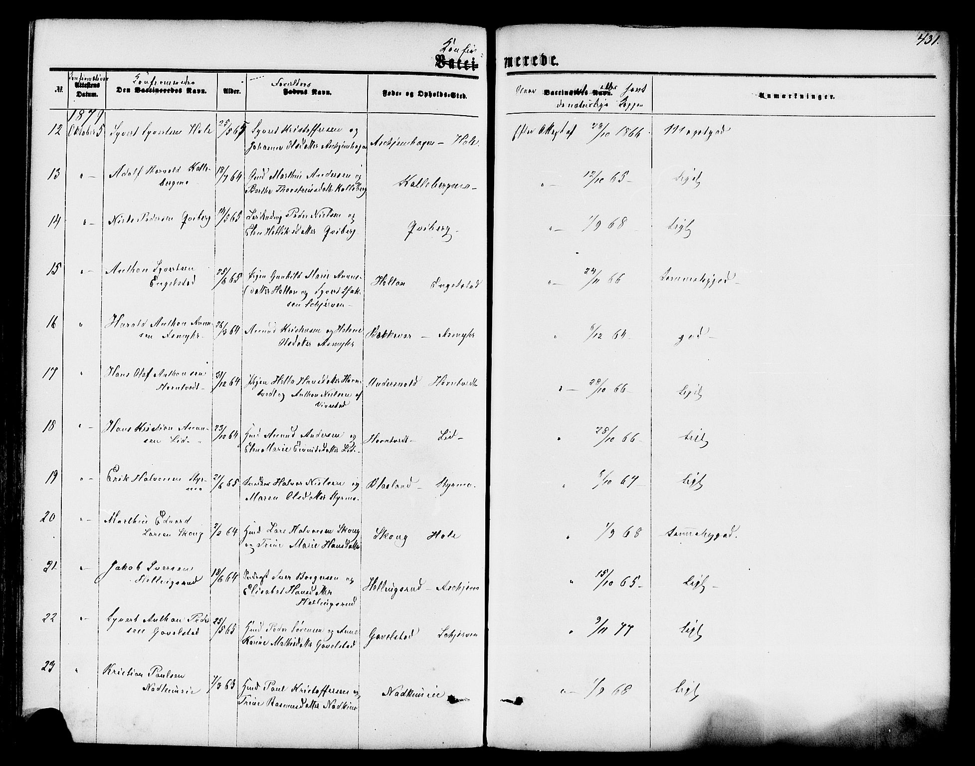 Lardal kirkebøker, AV/SAKO-A-350/F/Fa/L0007: Parish register (official) no. I 7, 1861-1880, p. 431