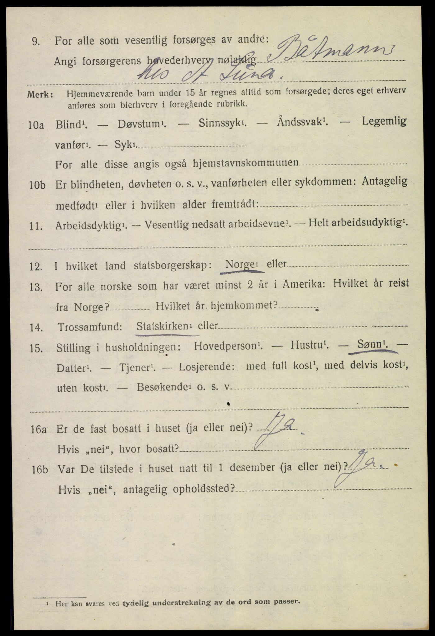 SAH, 1920 census for Nes (Hedmark), 1920, p. 2671