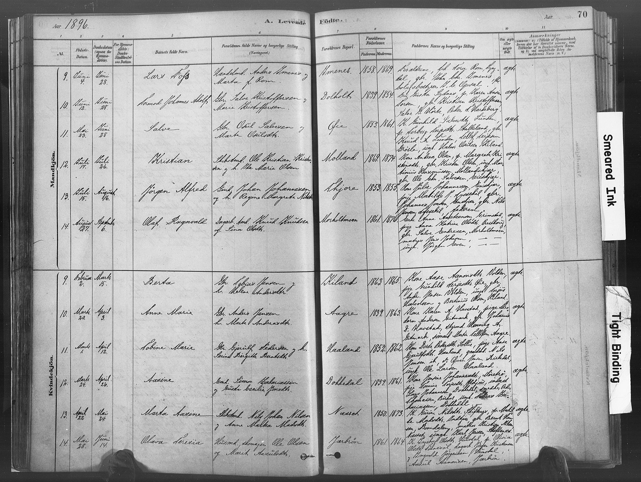 Hommedal sokneprestkontor, SAK/1111-0023/F/Fa/Fab/L0006: Parish register (official) no. A 6, 1878-1897, p. 70
