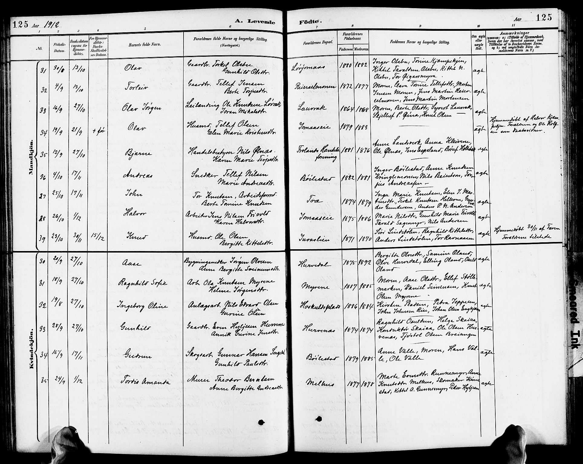 Froland sokneprestkontor, SAK/1111-0013/F/Fb/L0010: Parish register (copy) no. B 10, 1893-1920, p. 125