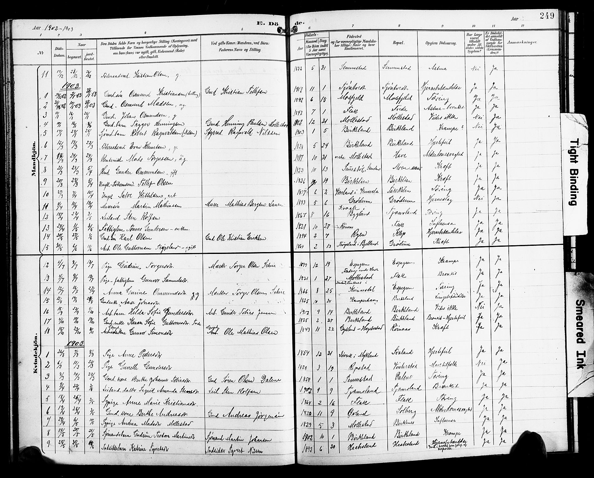 Birkenes sokneprestkontor, SAK/1111-0004/F/Fb/L0004: Parish register (copy) no. B 4, 1893-1930, p. 249