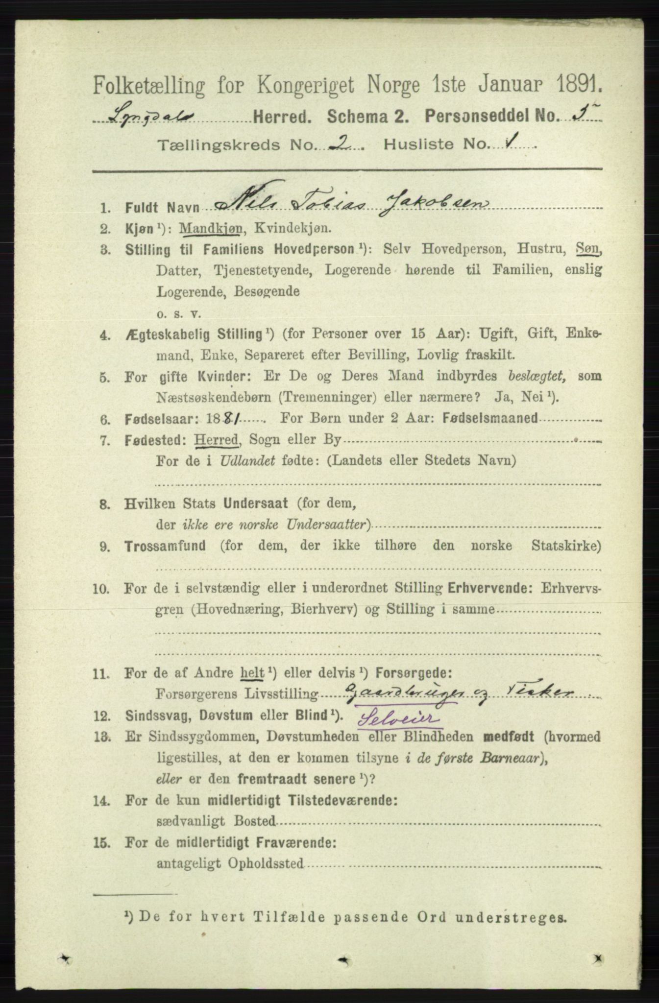 RA, 1891 census for 1032 Lyngdal, 1891, p. 550