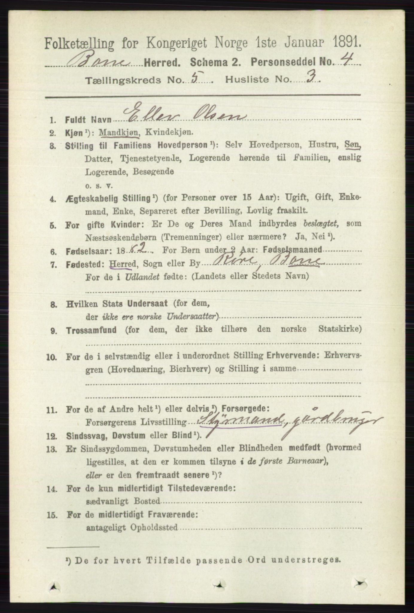 RA, 1891 census for 0717 Borre, 1891, p. 2028