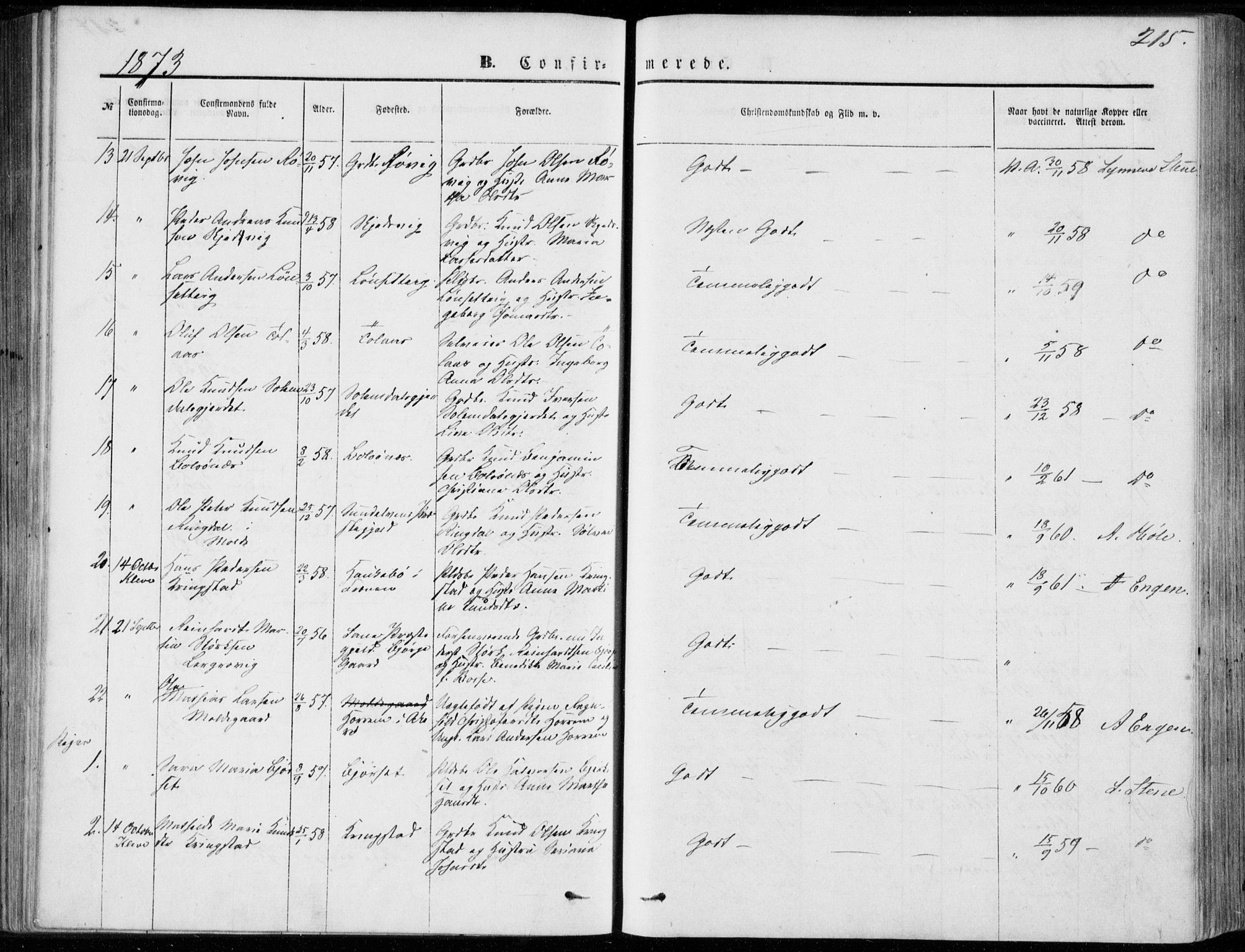 Ministerialprotokoller, klokkerbøker og fødselsregistre - Møre og Romsdal, SAT/A-1454/555/L0655: Parish register (official) no. 555A05, 1869-1886, p. 215
