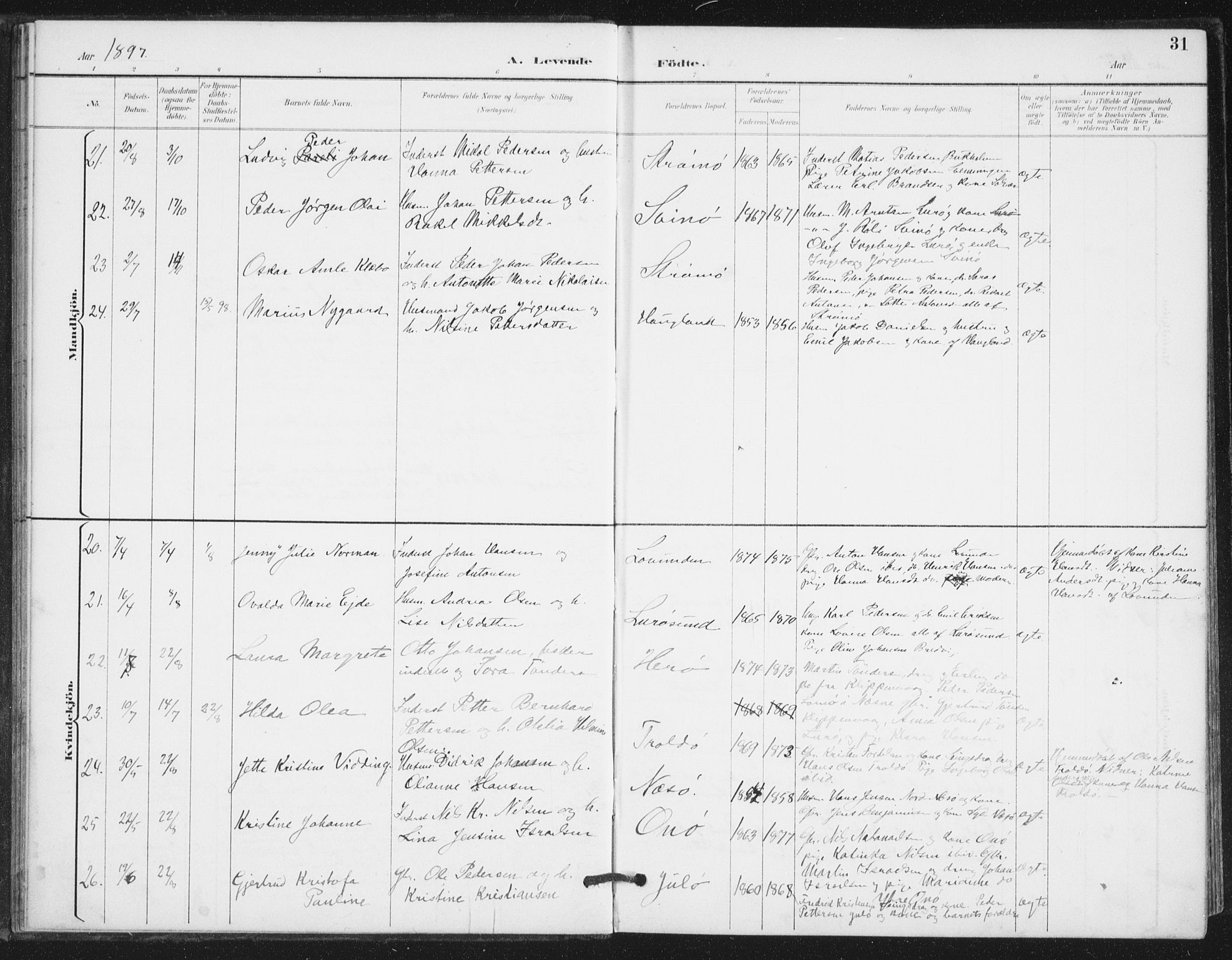 Ministerialprotokoller, klokkerbøker og fødselsregistre - Nordland, AV/SAT-A-1459/839/L0573: Parish register (copy) no. 839C03, 1892-1917, p. 31