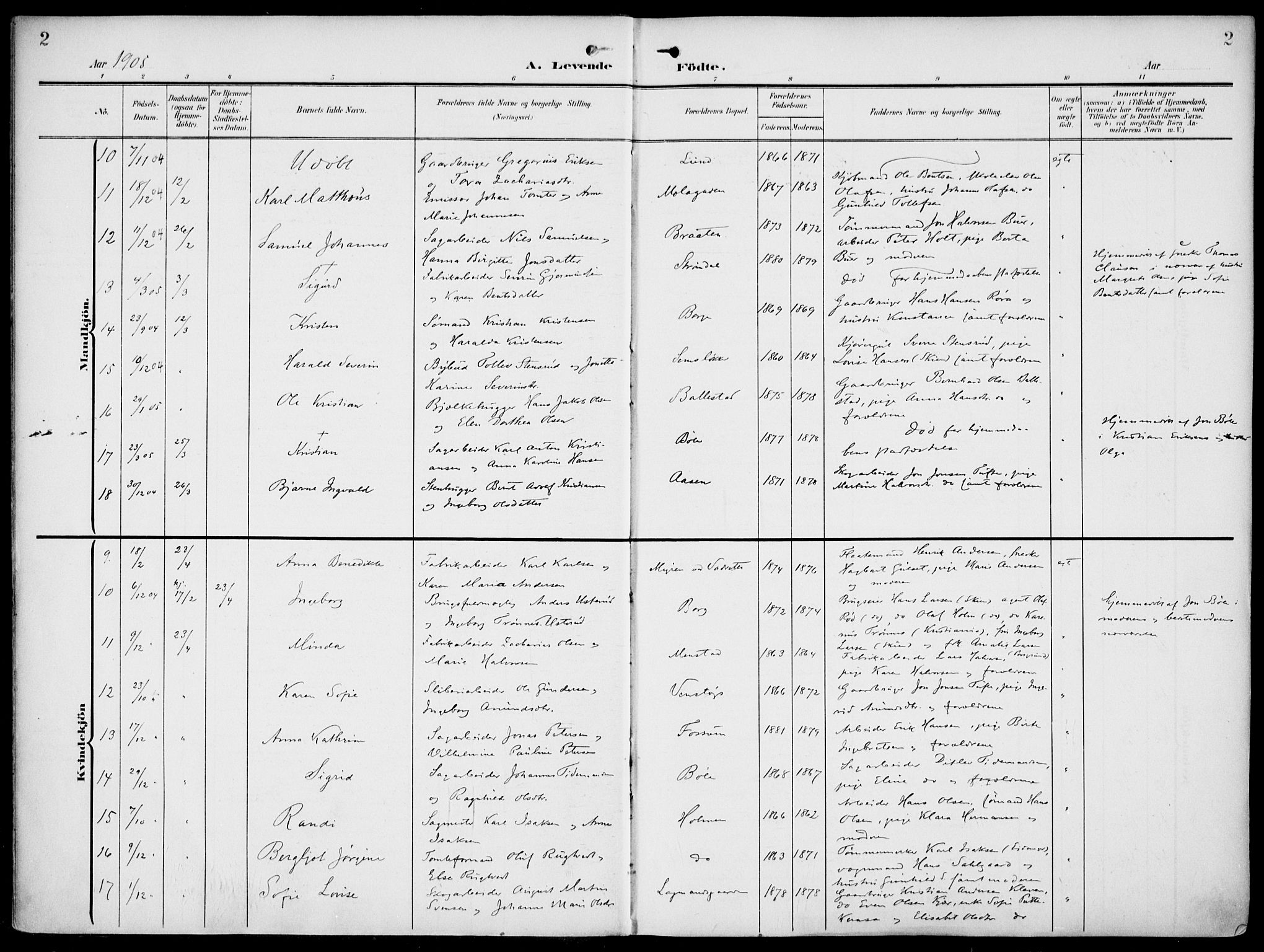 Gjerpen kirkebøker, SAKO/A-265/F/Fa/L0012: Parish register (official) no. I 12, 1905-1913, p. 2