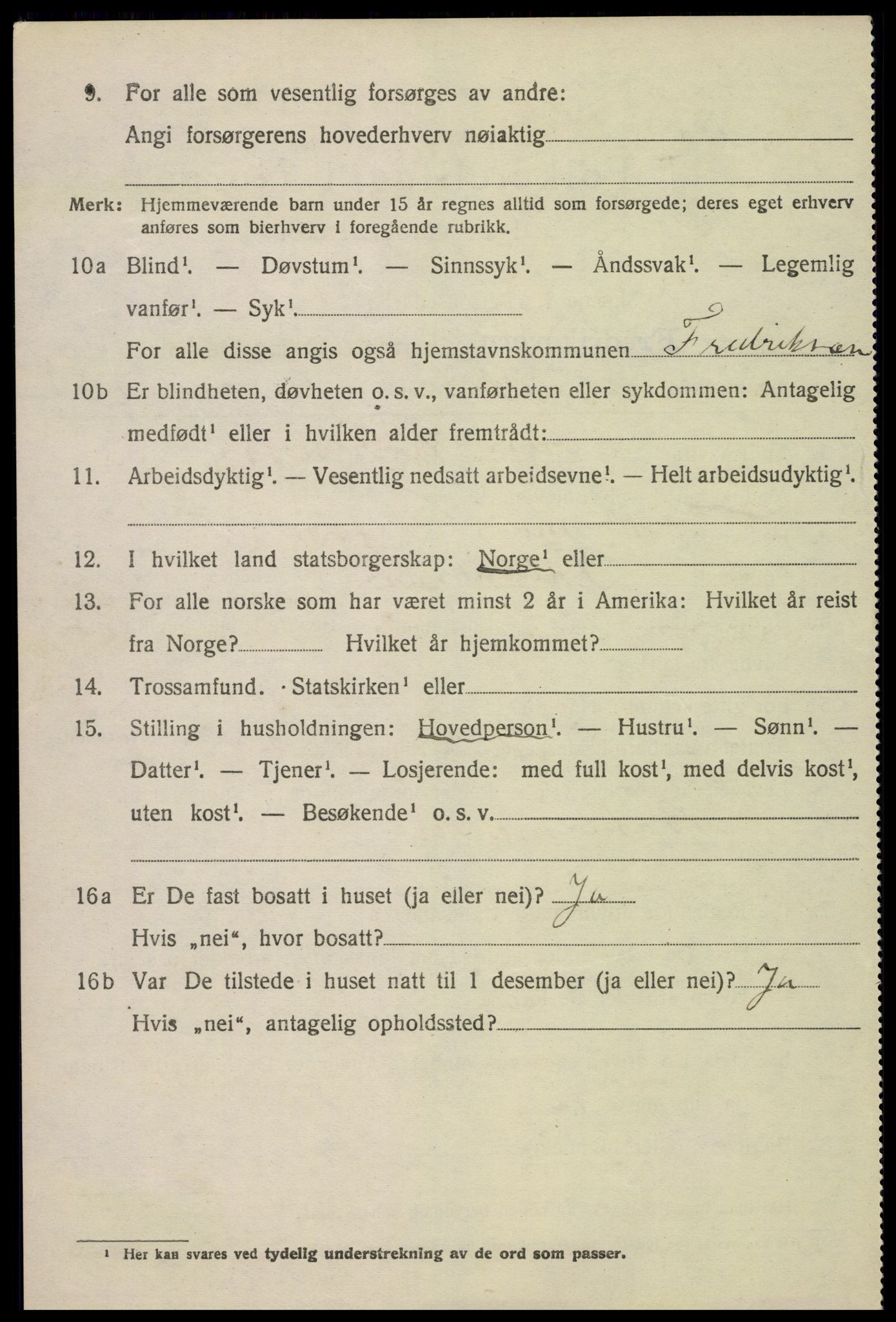 SAKO, 1920 census for Fredriksvern, 1920, p. 1484