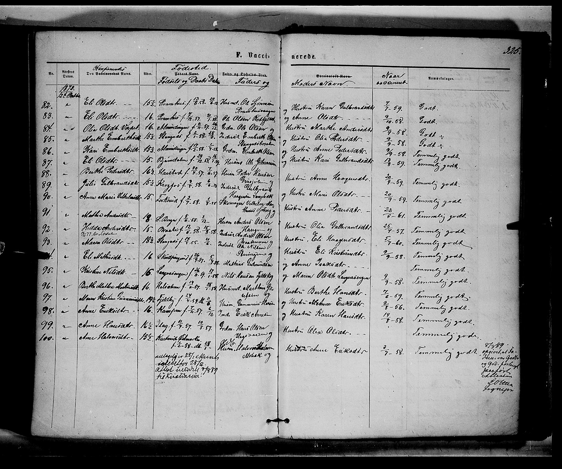 Eidskog prestekontor, AV/SAH-PREST-026/H/Ha/Haa/L0002: Parish register (official) no. 2, 1867-1878, p. 325