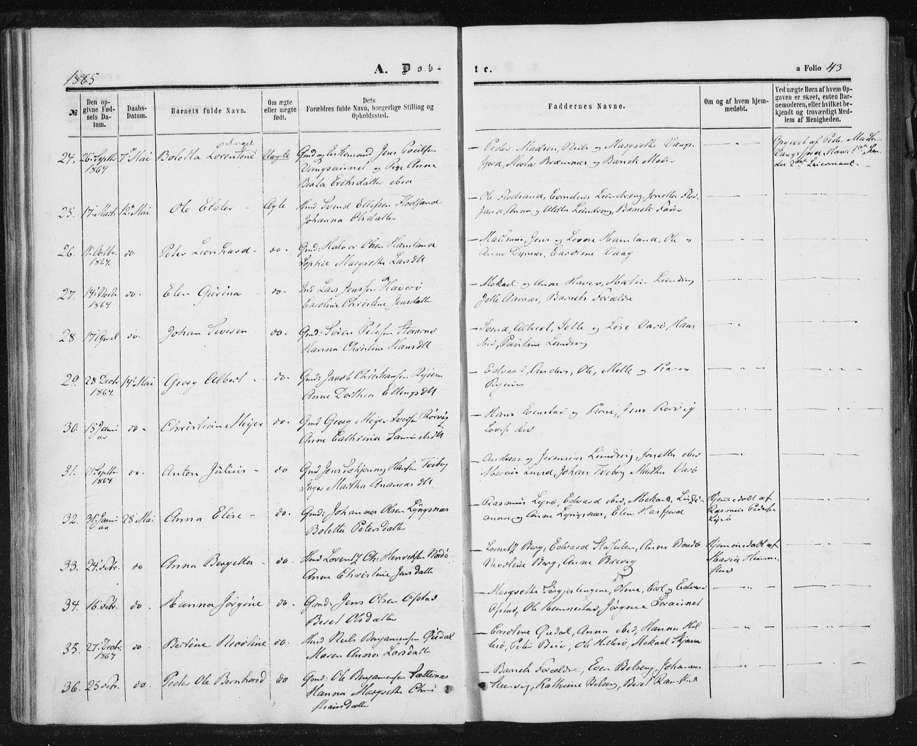 Ministerialprotokoller, klokkerbøker og fødselsregistre - Nord-Trøndelag, AV/SAT-A-1458/784/L0670: Parish register (official) no. 784A05, 1860-1876, p. 43