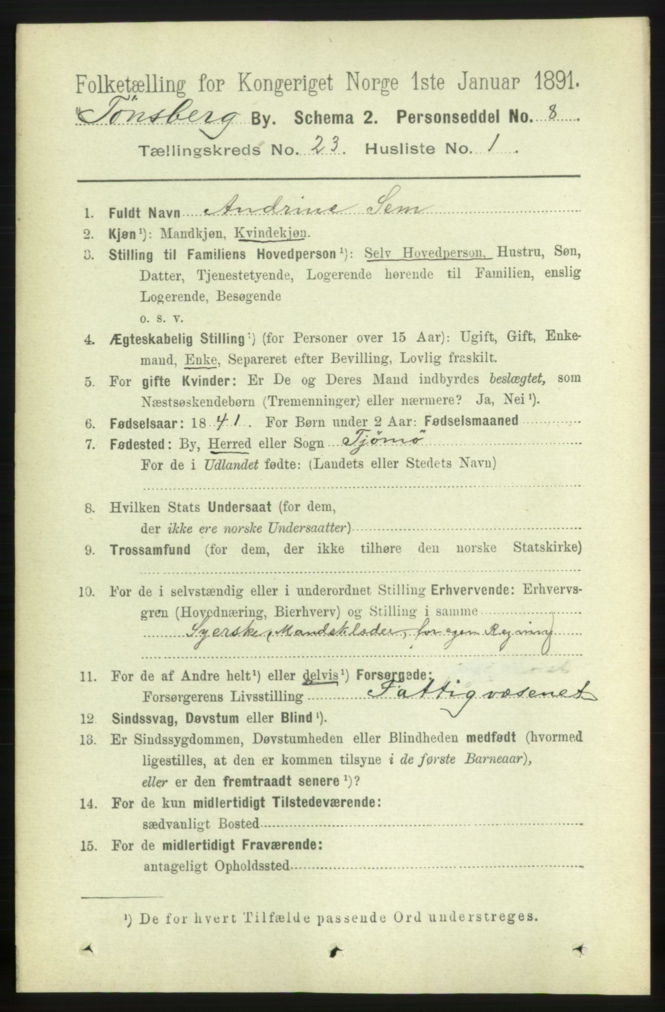 RA, 1891 census for 0705 Tønsberg, 1891, p. 6018