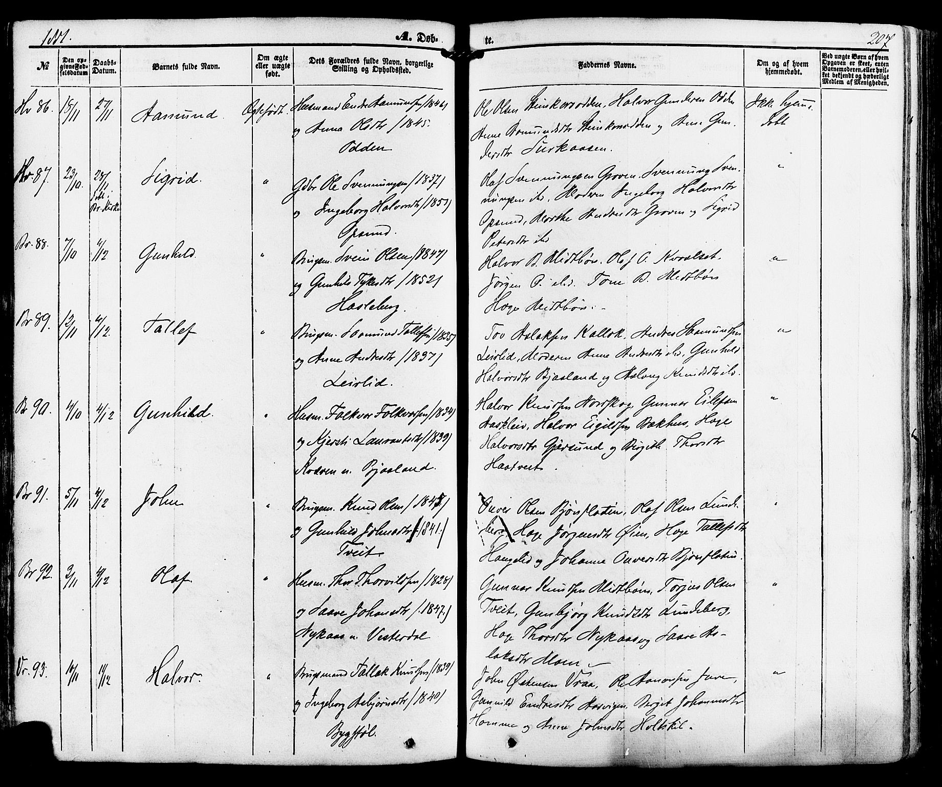 Kviteseid kirkebøker, AV/SAKO-A-276/F/Fa/L0007: Parish register (official) no. I 7, 1859-1881, p. 207