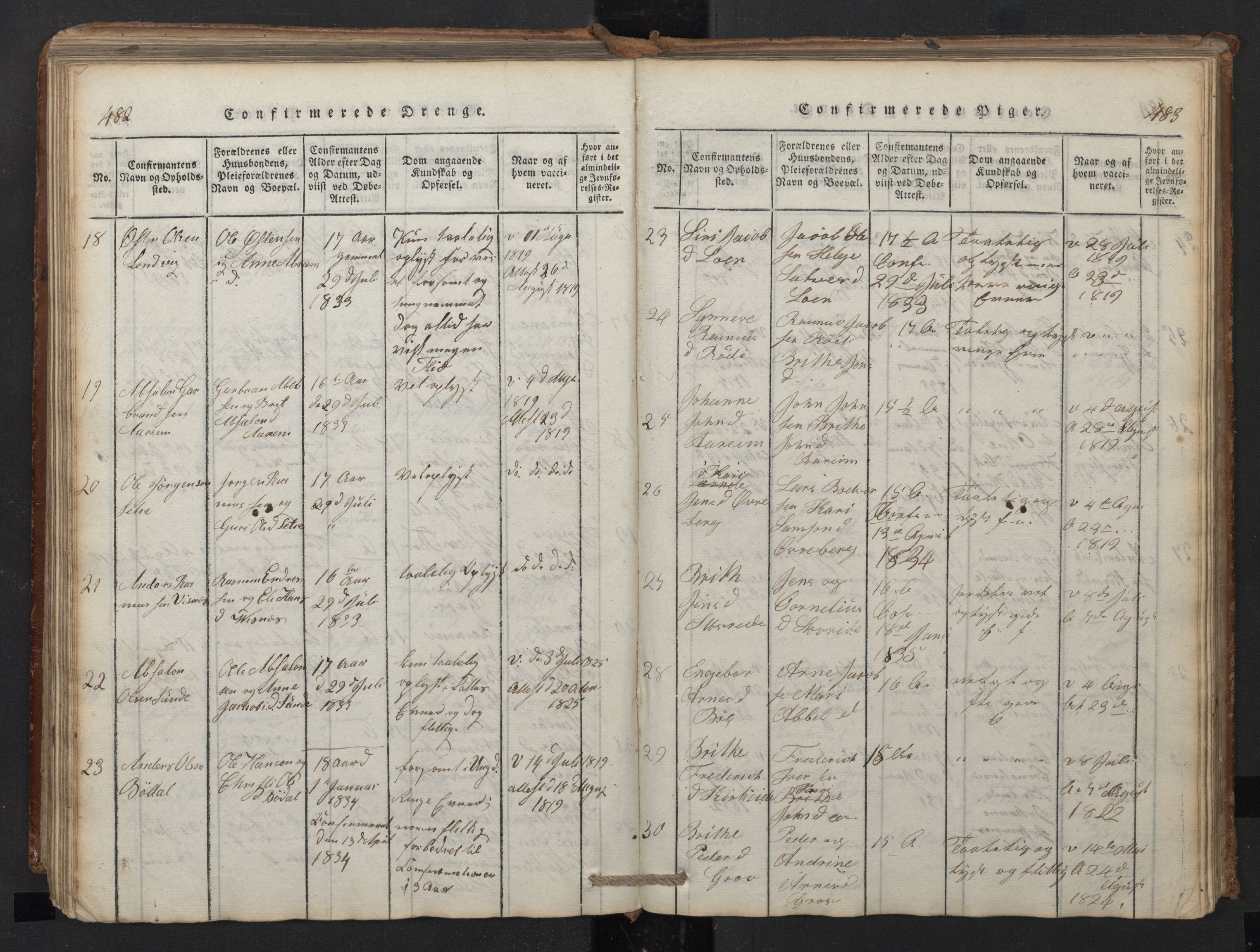 Stryn Sokneprestembete, SAB/A-82501: Parish register (copy) no. A 1, 1816-1844, p. 482-483