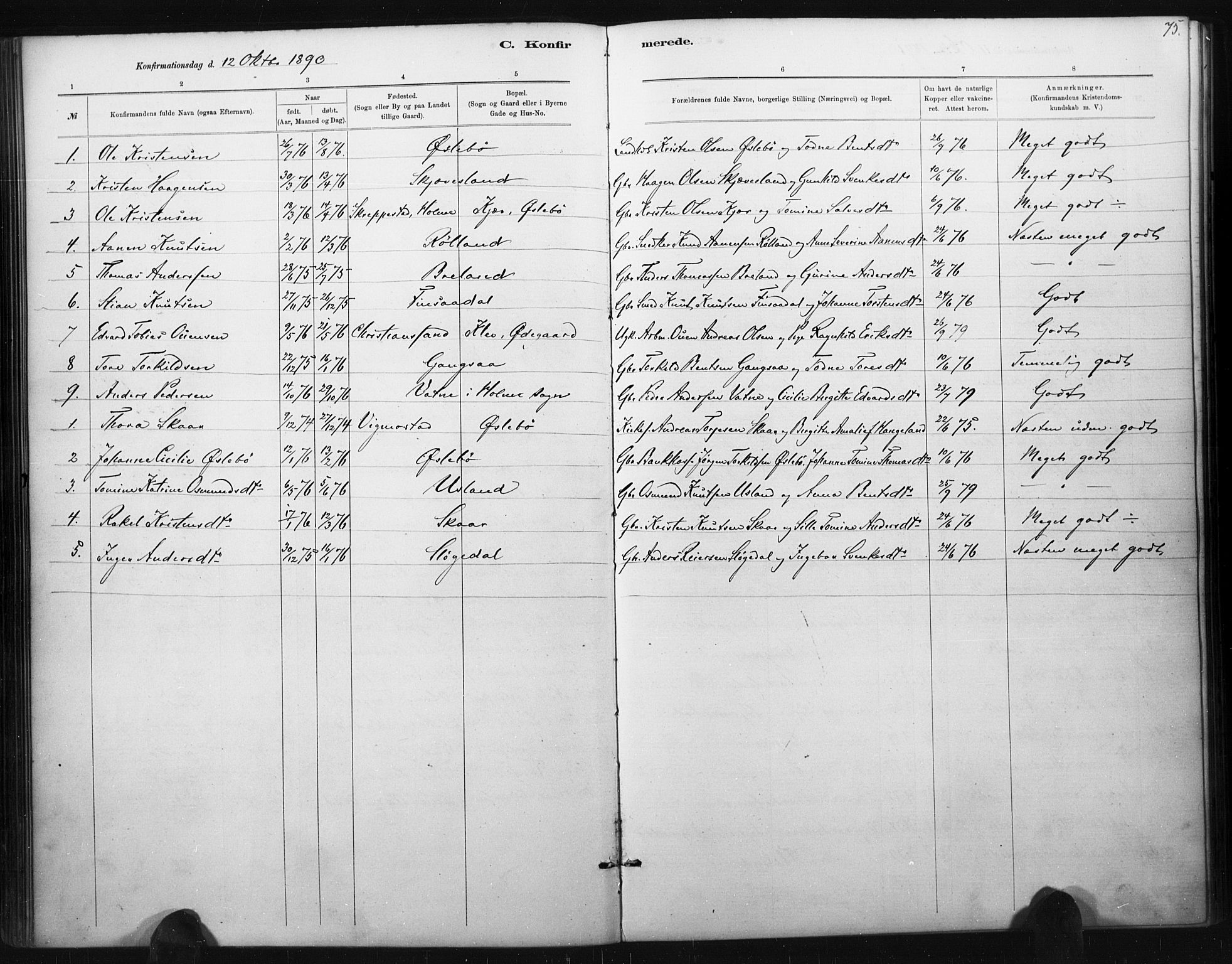 Holum sokneprestkontor, AV/SAK-1111-0022/F/Fa/Fac/L0004: Parish register (official) no. A 4, 1884-1907, p. 75