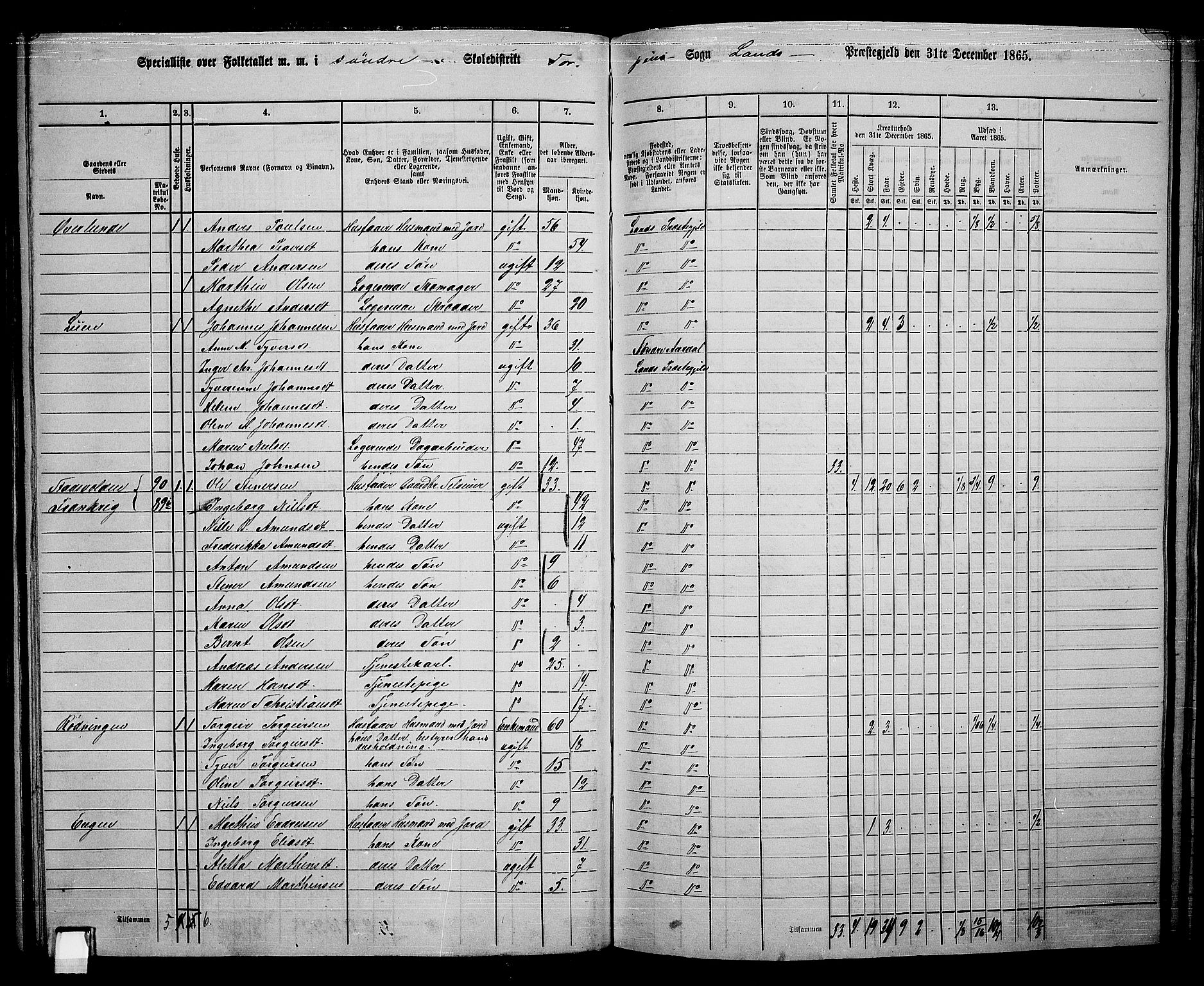 RA, 1865 census for Land, 1865, p. 94