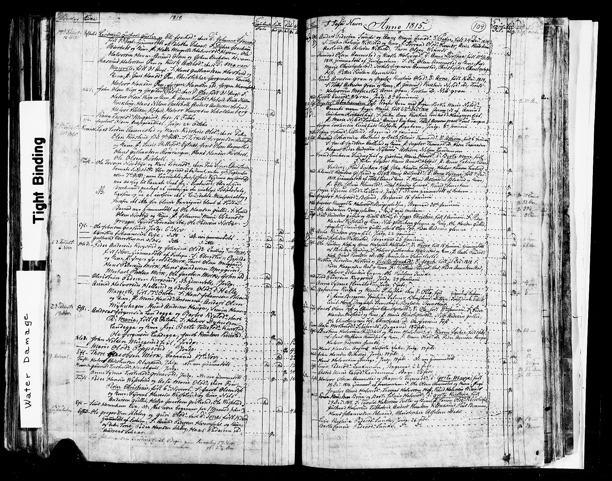Sandsvær kirkebøker, SAKO/A-244/G/Ga/L0002: Parish register (copy) no. I 2, 1796-1817, p. 109