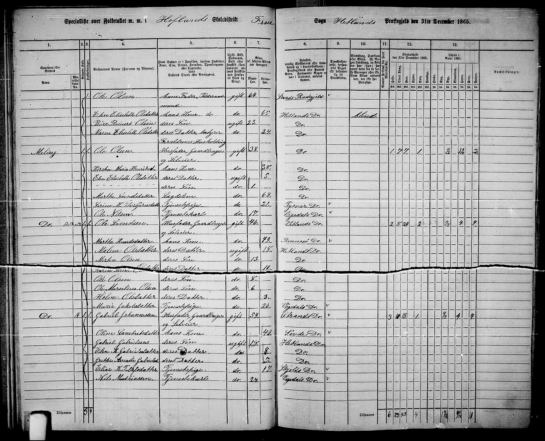 RA, 1865 census for Hetland, 1865, p. 22