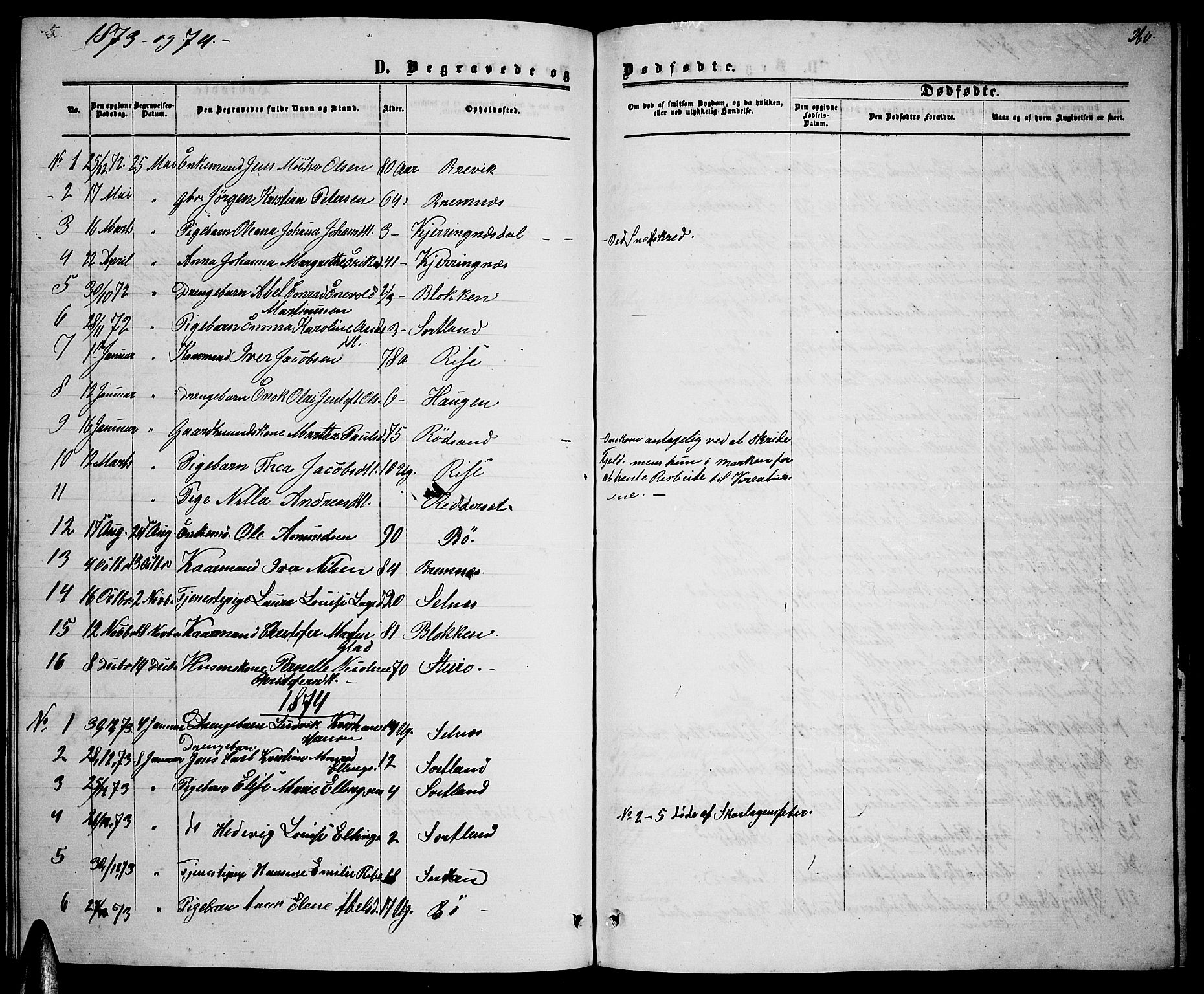 Ministerialprotokoller, klokkerbøker og fødselsregistre - Nordland, SAT/A-1459/895/L1381: Parish register (copy) no. 895C03, 1864-1885, p. 260