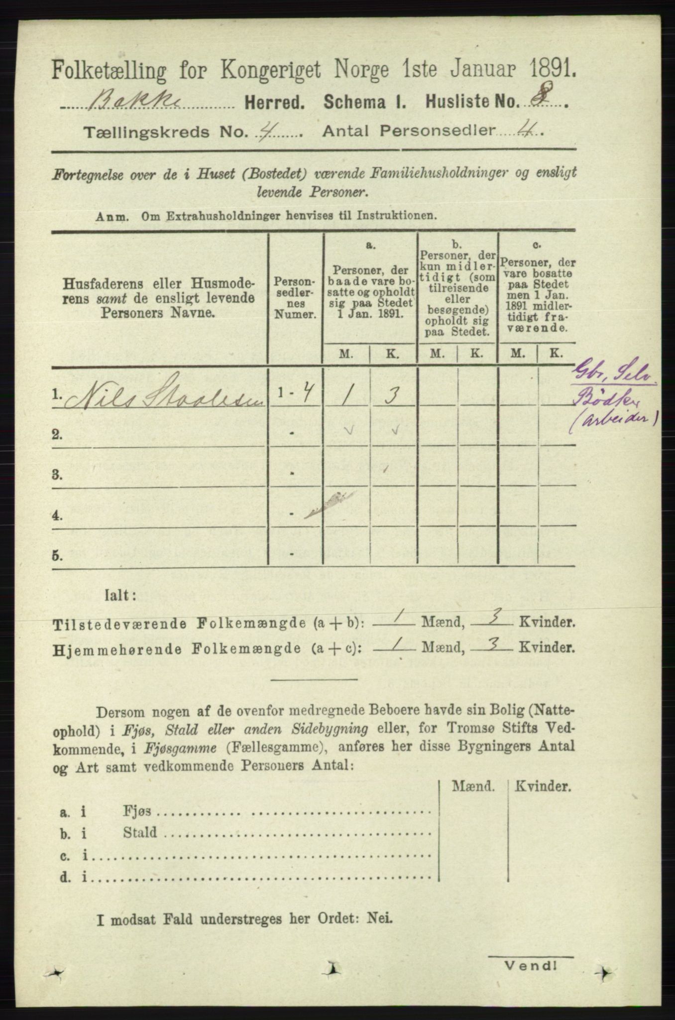 RA, 1891 census for 1045 Bakke, 1891, p. 551