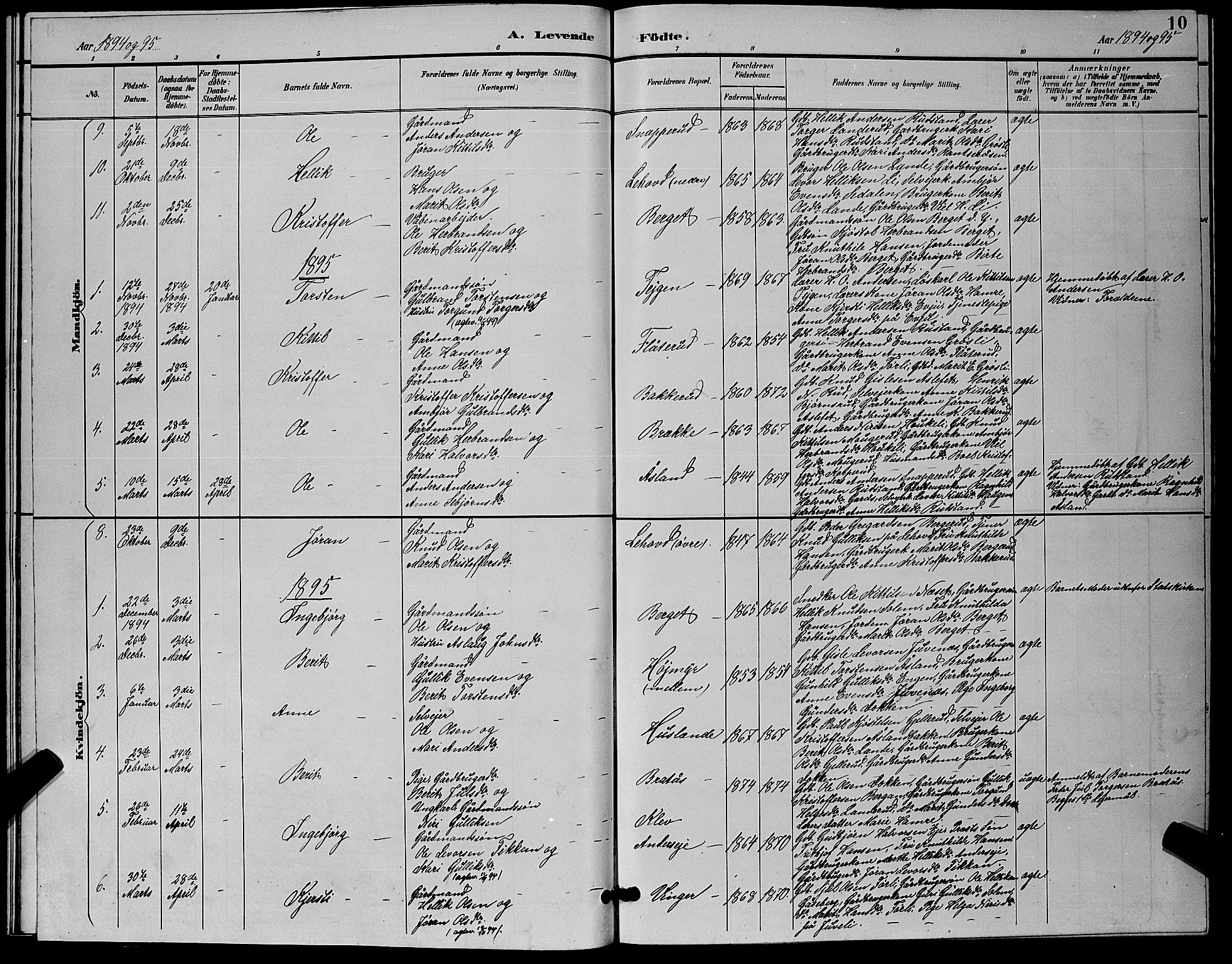 Flesberg kirkebøker, SAKO/A-18/G/Ga/L0004: Parish register (copy) no. I 4 /1, 1890-1898, p. 10