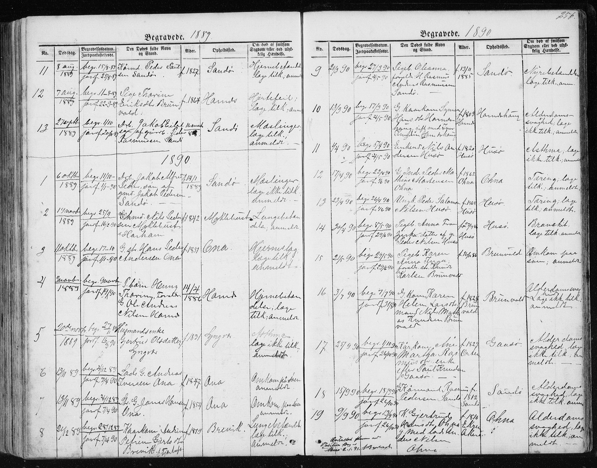 Ministerialprotokoller, klokkerbøker og fødselsregistre - Møre og Romsdal, AV/SAT-A-1454/561/L0732: Parish register (copy) no. 561C02, 1867-1900, p. 256