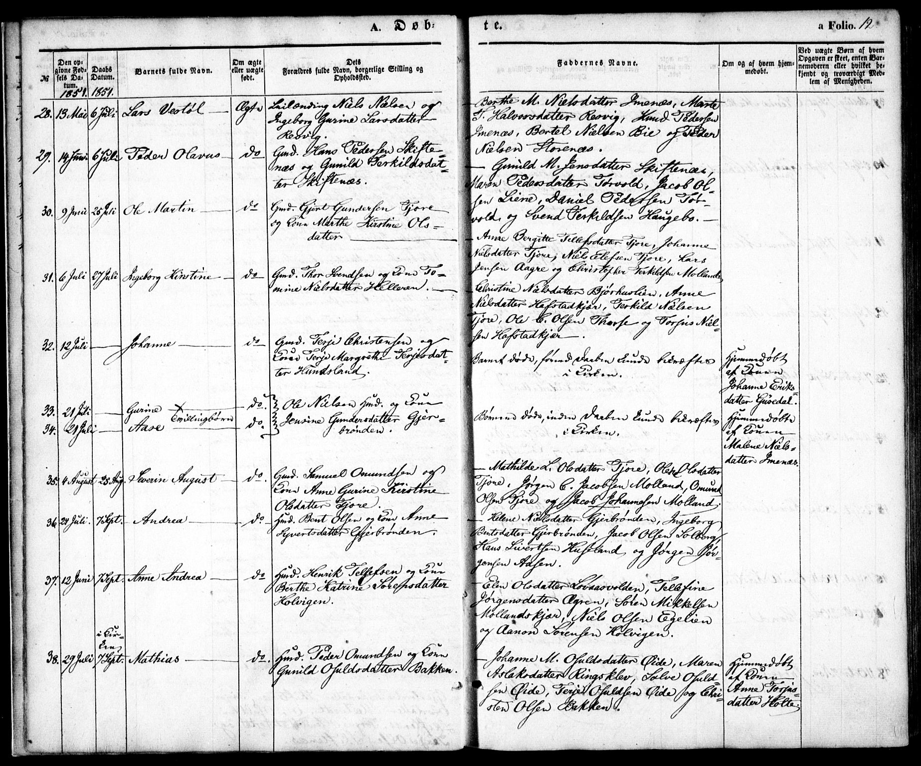 Hommedal sokneprestkontor, AV/SAK-1111-0023/F/Fa/Fab/L0004: Parish register (official) no. A 4, 1848-1860, p. 12