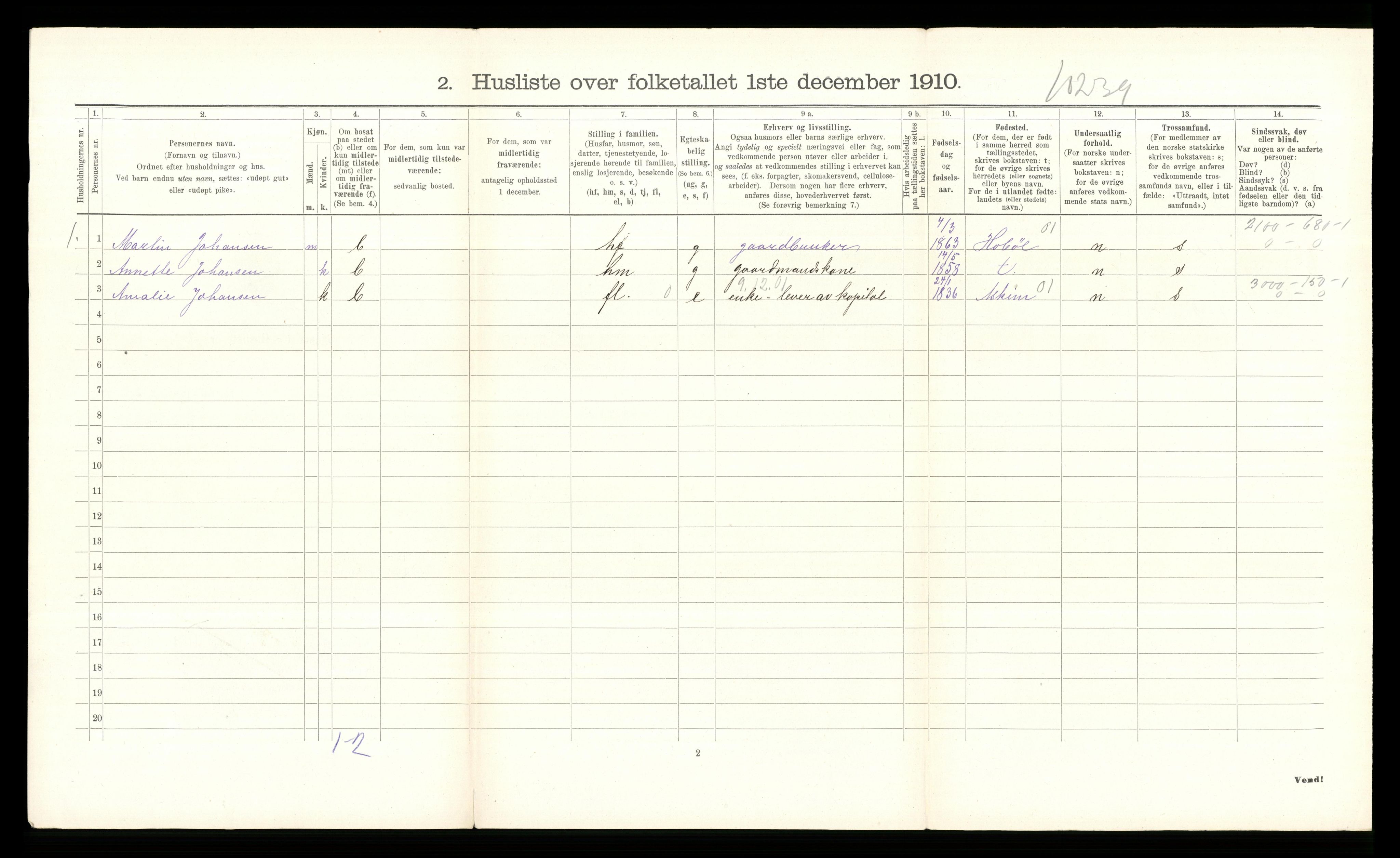 RA, 1910 census for Hurum, 1910, p. 871