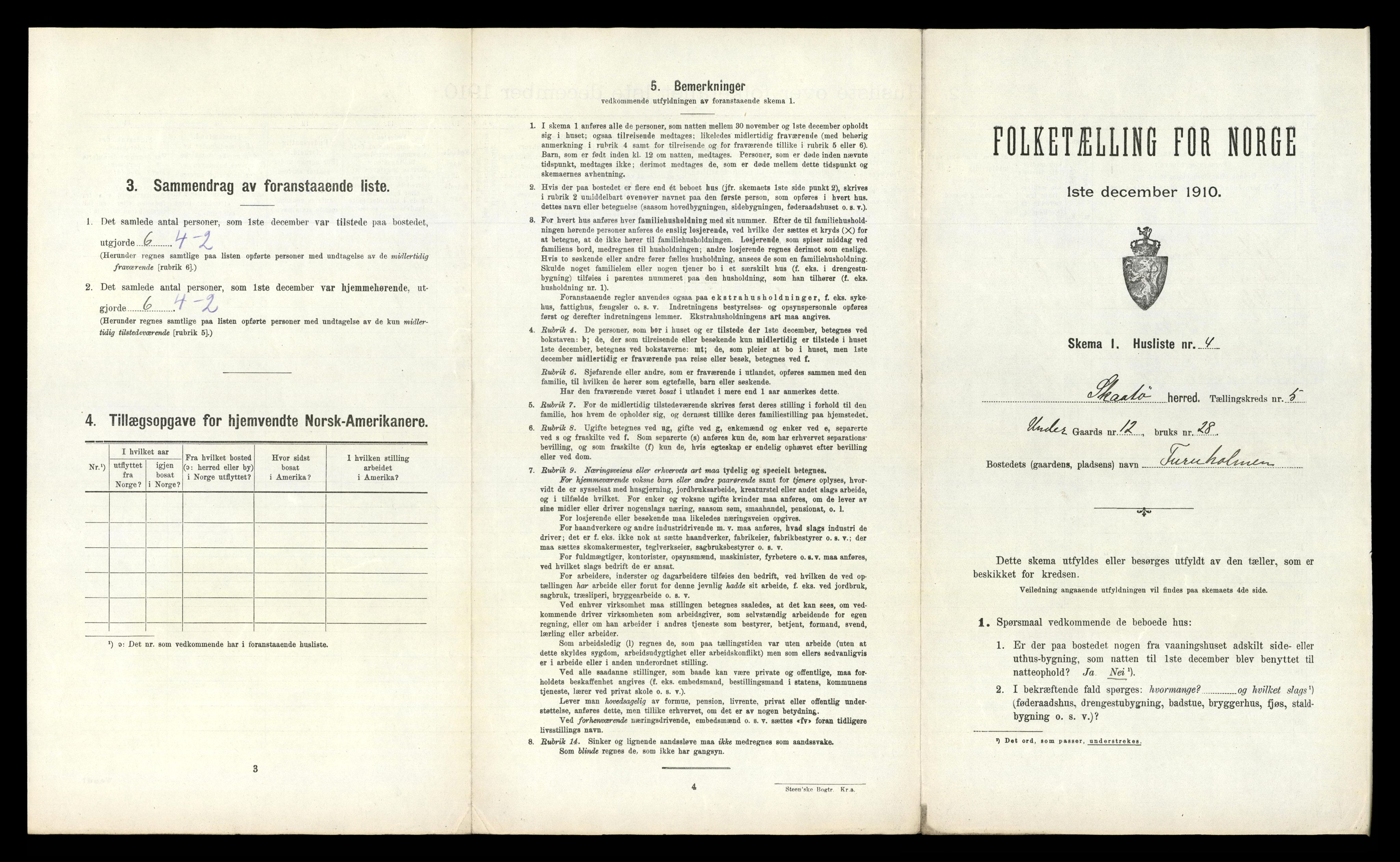 RA, 1910 census for Skåtøy, 1910, p. 501