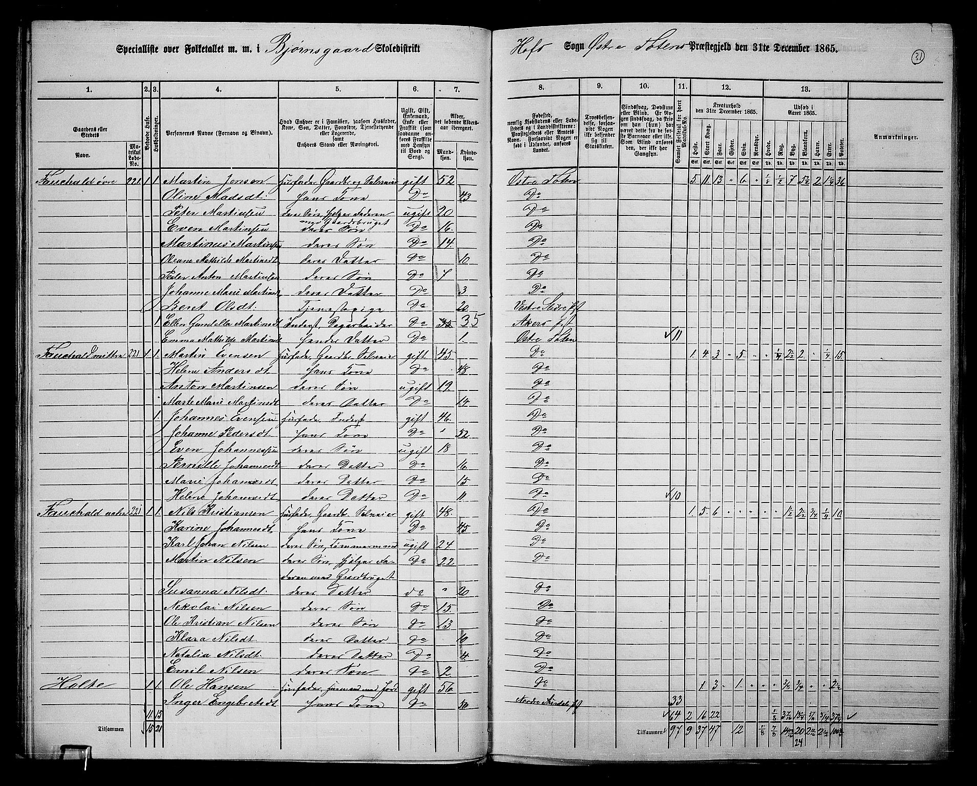 RA, 1865 census for Østre Toten, 1865, p. 160