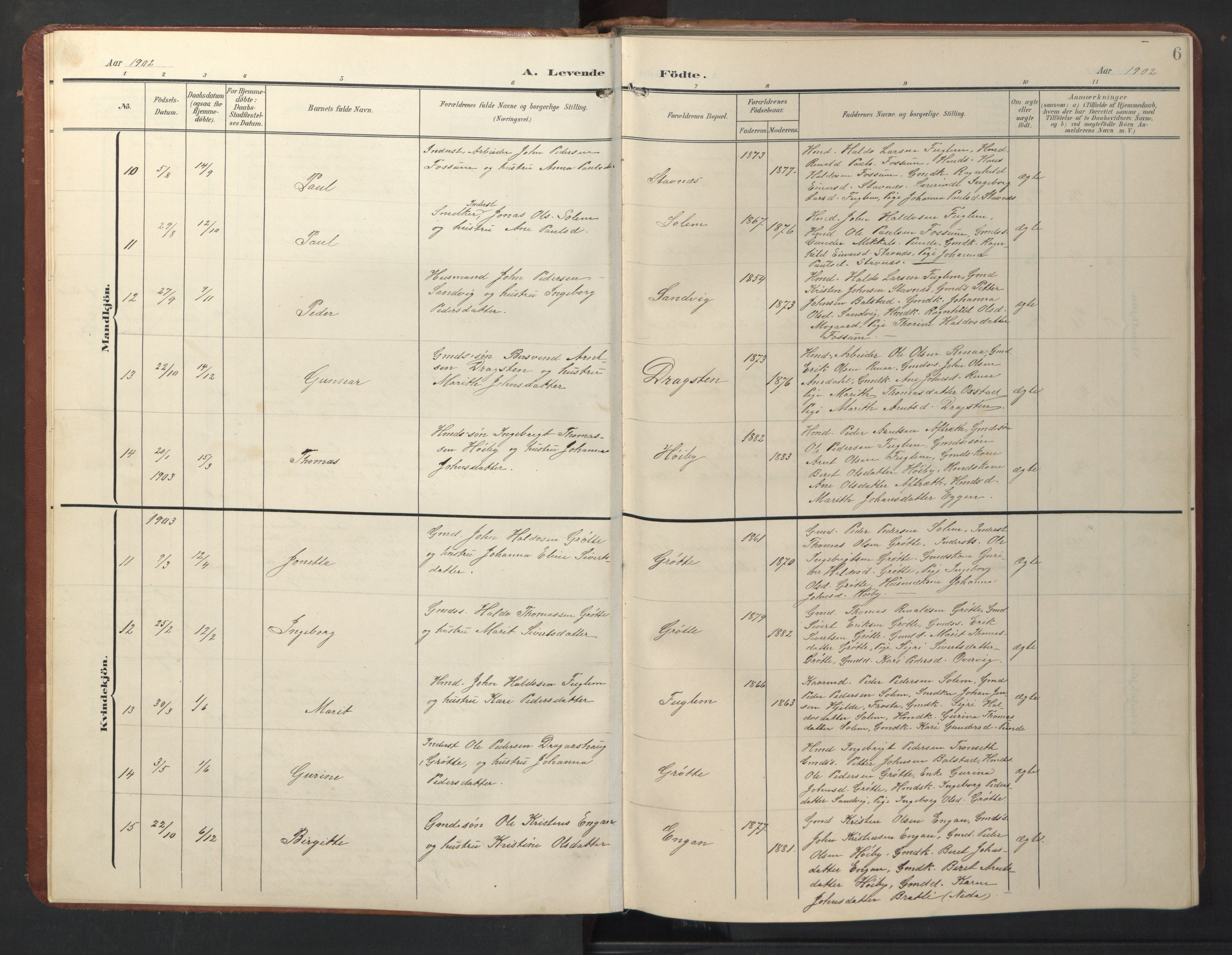 Ministerialprotokoller, klokkerbøker og fødselsregistre - Sør-Trøndelag, SAT/A-1456/696/L1161: Parish register (copy) no. 696C01, 1902-1950, p. 6