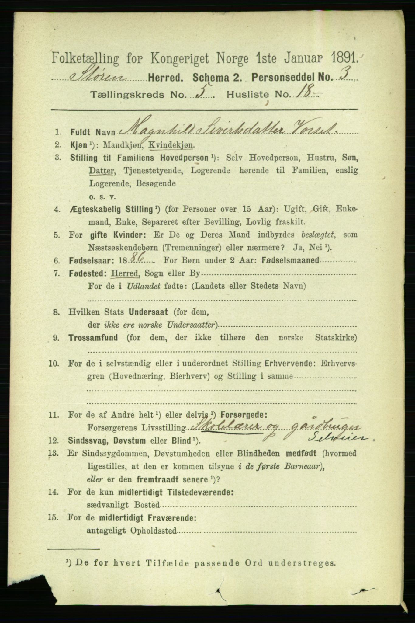 RA, 1891 census for 1648 Støren, 1891, p. 2040
