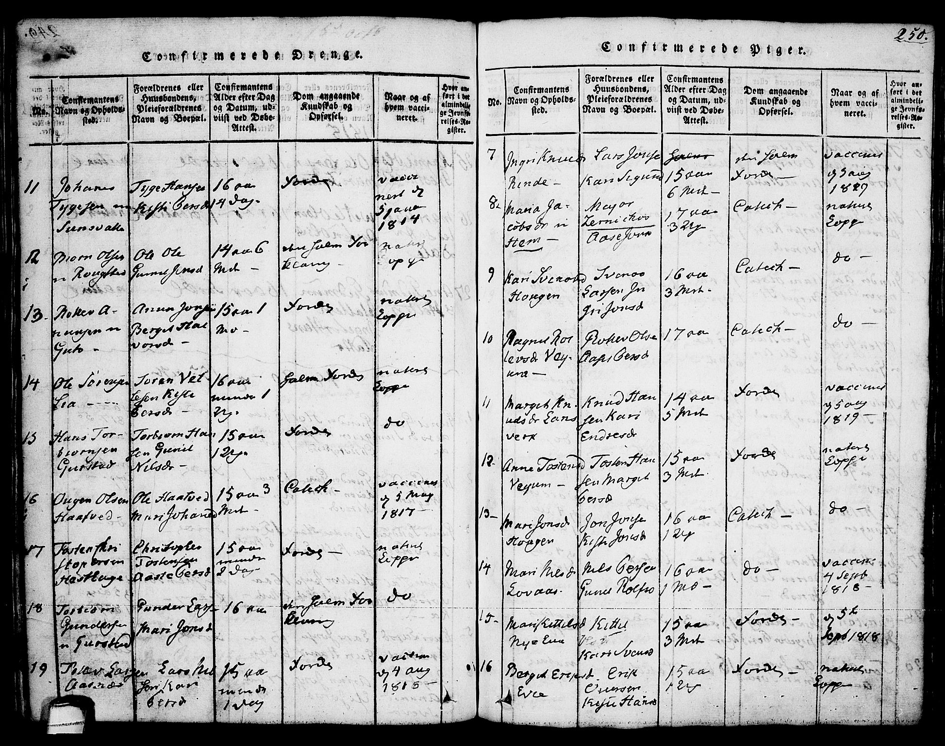 Sauherad kirkebøker, SAKO/A-298/G/Ga/L0001: Parish register (copy) no. I 1, 1815-1827, p. 250