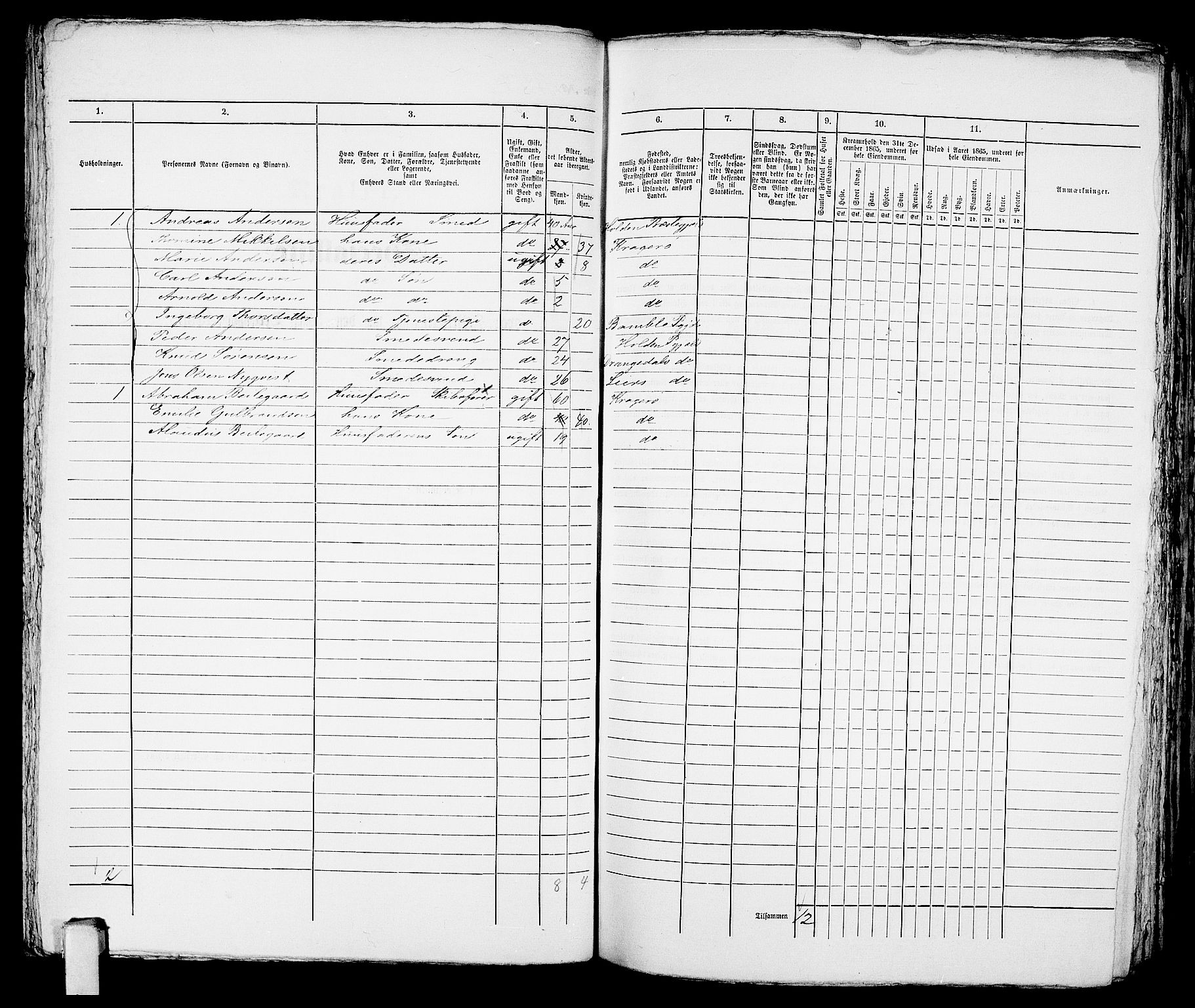 RA, 1865 census for Kragerø/Kragerø, 1865, p. 734