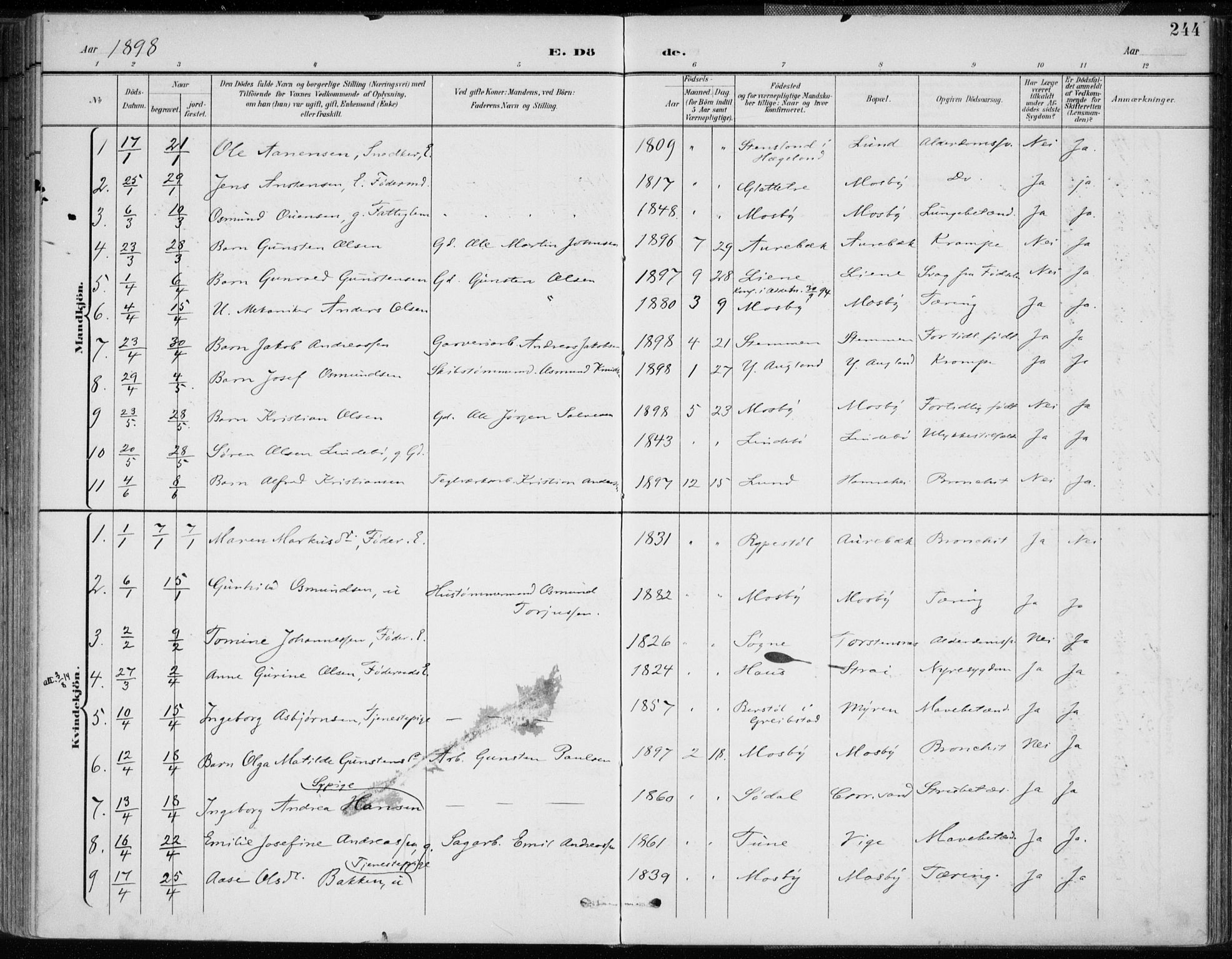 Oddernes sokneprestkontor, SAK/1111-0033/F/Fa/Faa/L0010: Parish register (official) no. A 10, 1897-1911, p. 244