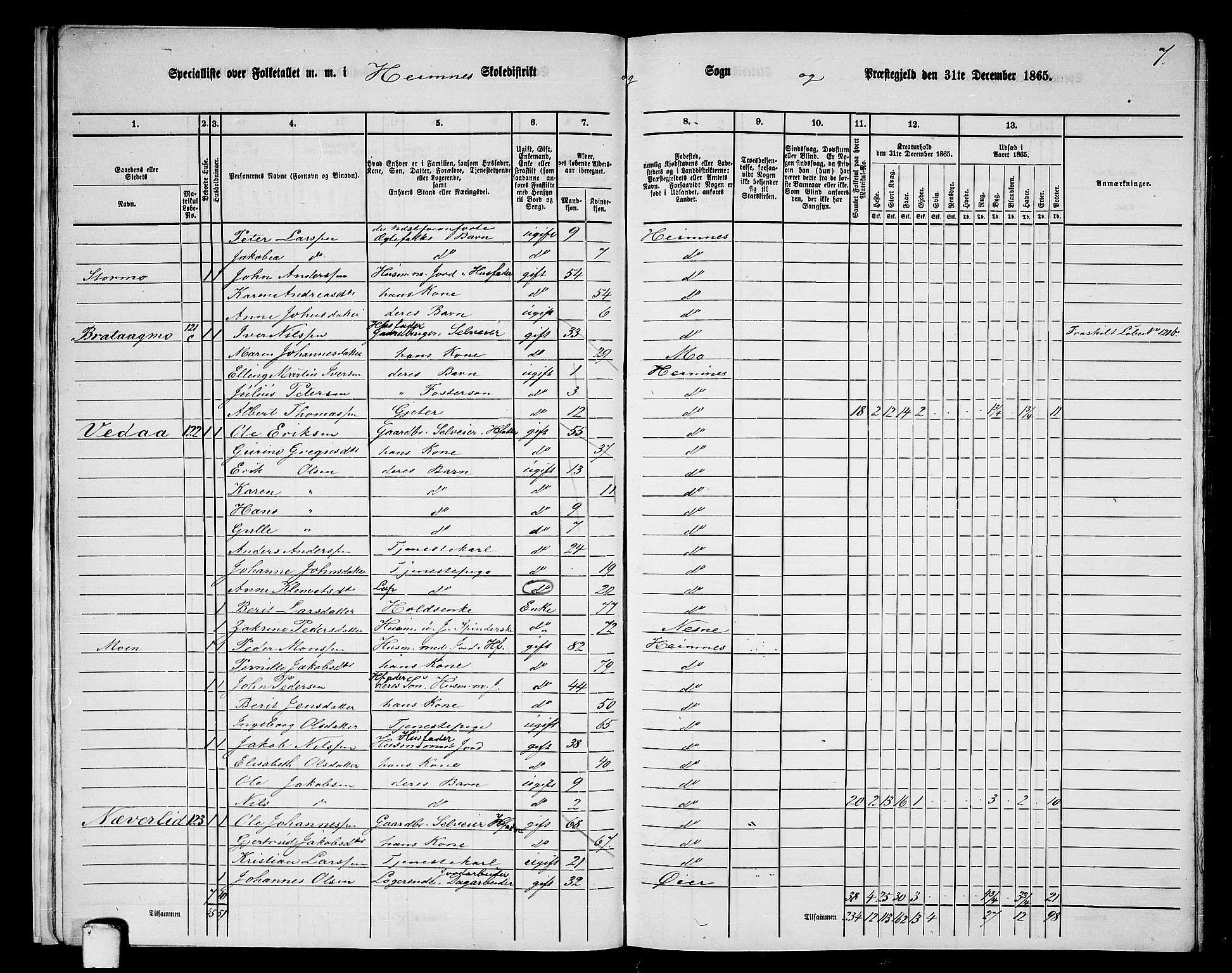 RA, 1865 census for Hemnes, 1865, p. 19
