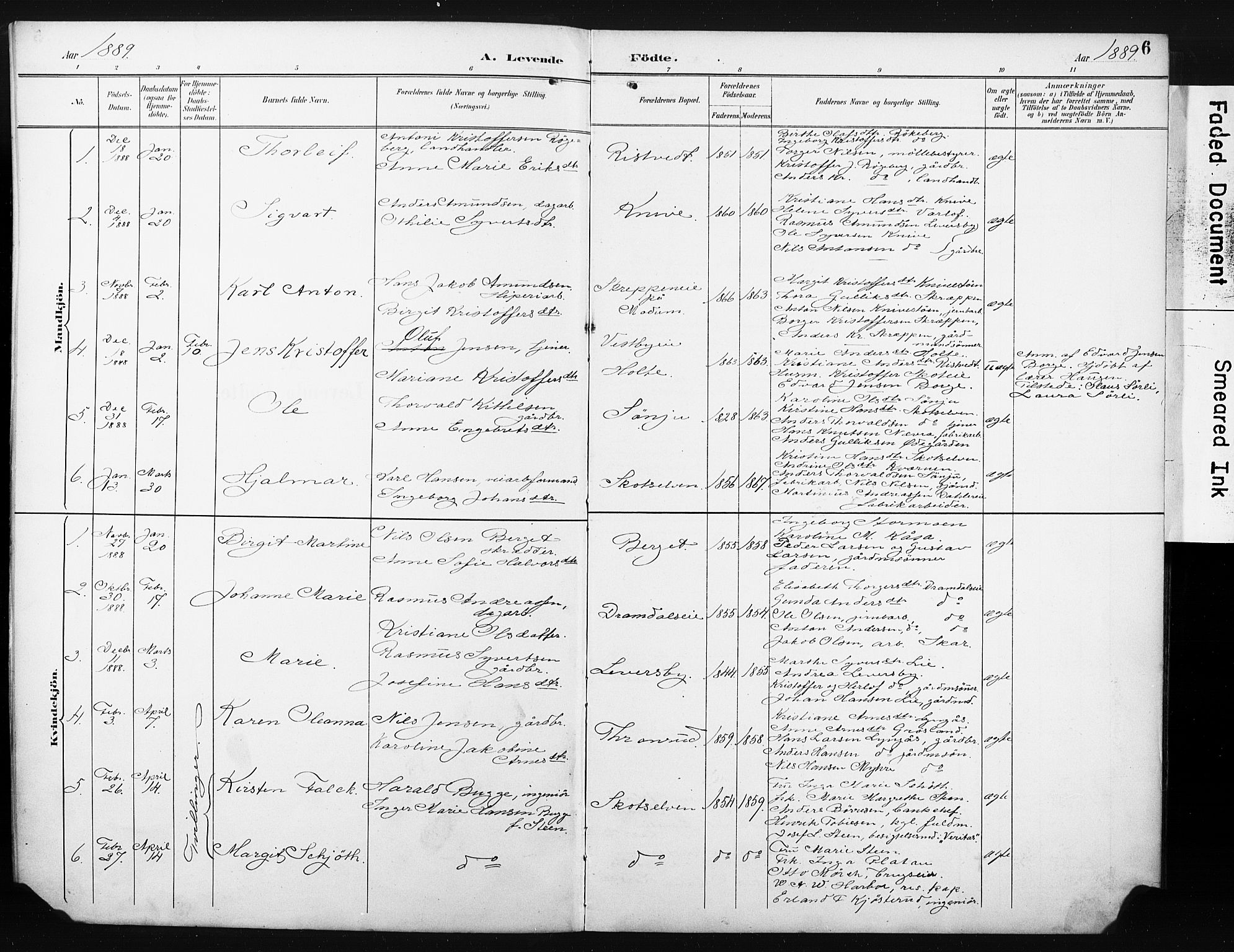 Eiker kirkebøker, SAKO/A-4/F/Fc/L0002: Parish register (official) no. III 2, 1889-1897, p. 6