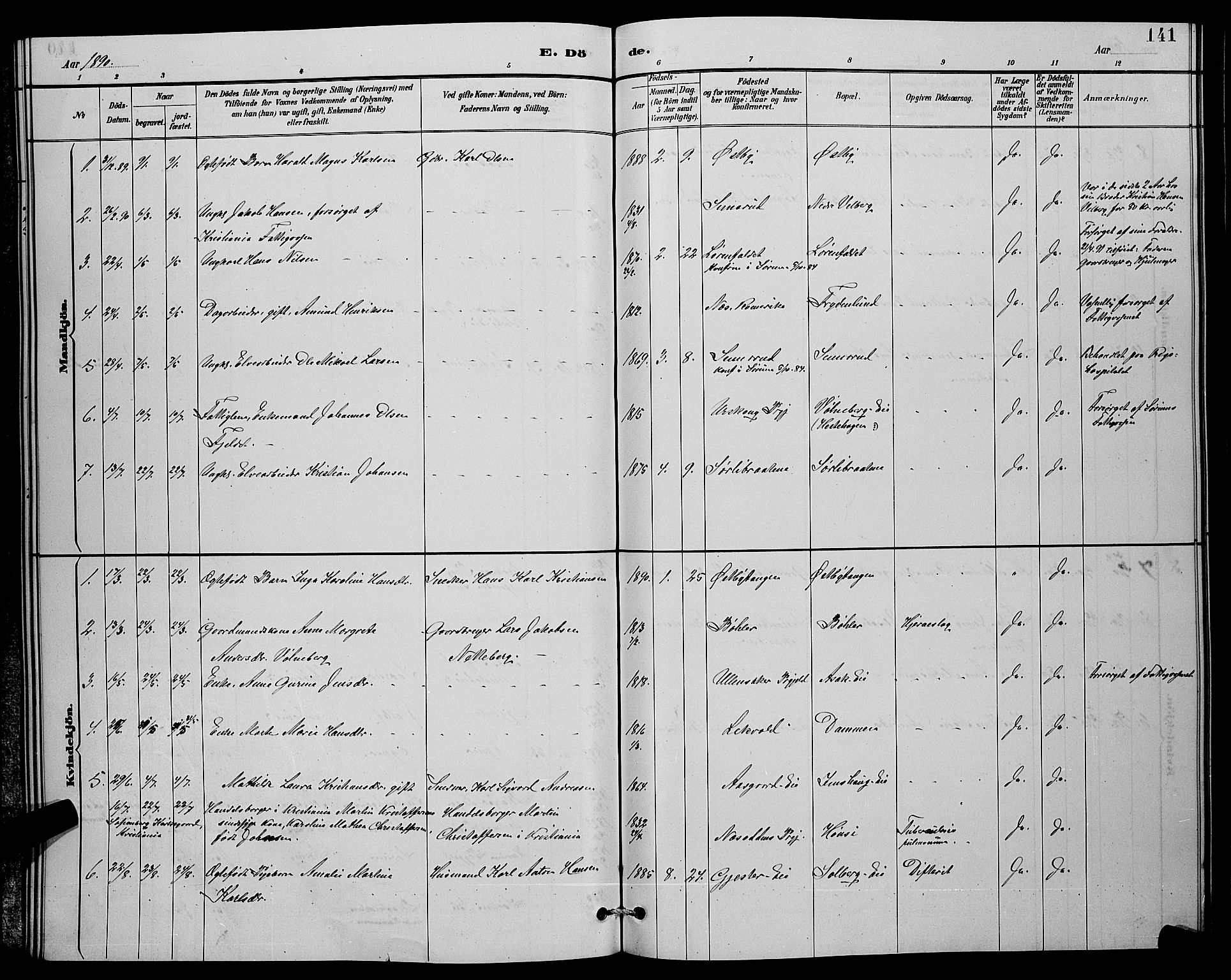 Sørum prestekontor Kirkebøker, AV/SAO-A-10303/G/Ga/L0005: Parish register (copy) no. I 5.1, 1886-1894, p. 141