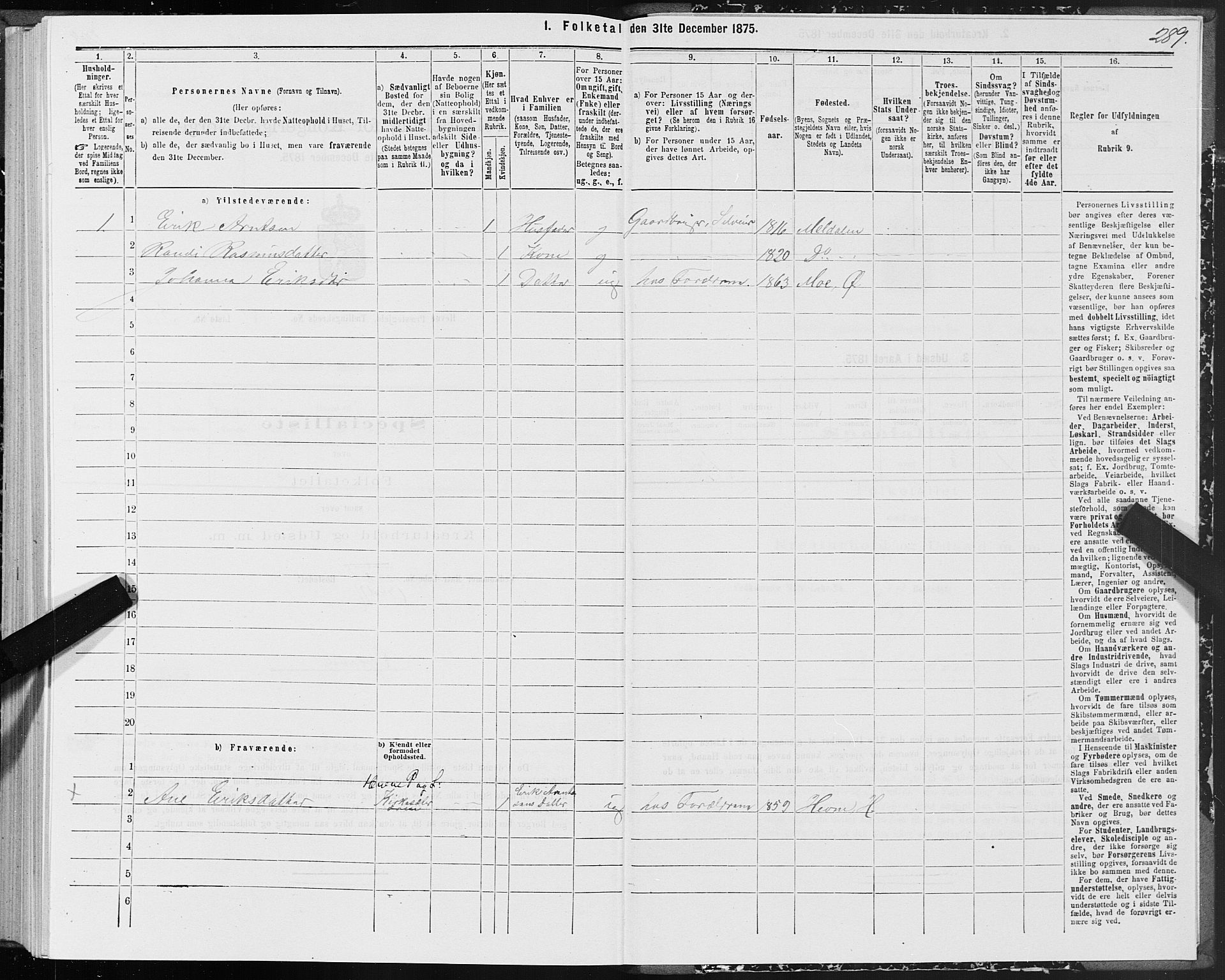 SAT, 1875 census for 1612P Hemne, 1875, p. 3289