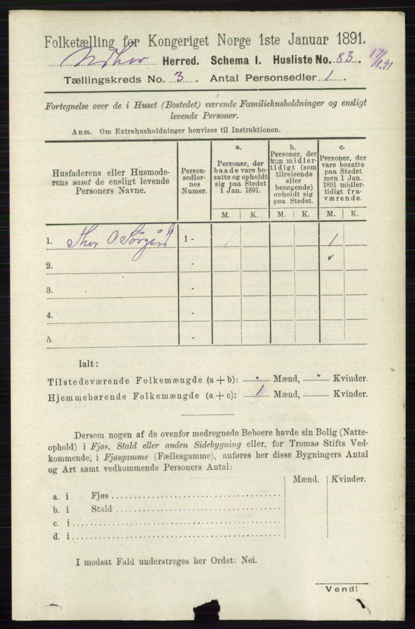 RA, 1891 census for 0613 Norderhov, 1891, p. 1245