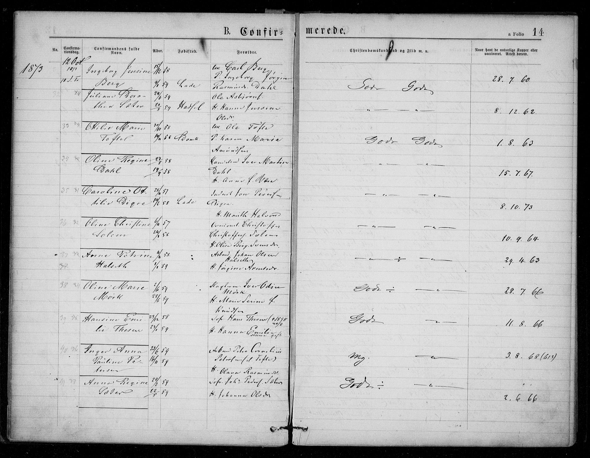 Ministerialprotokoller, klokkerbøker og fødselsregistre - Sør-Trøndelag, AV/SAT-A-1456/602/L0121: Parish register (official) no. 602A19, 1872-1879, p. 14