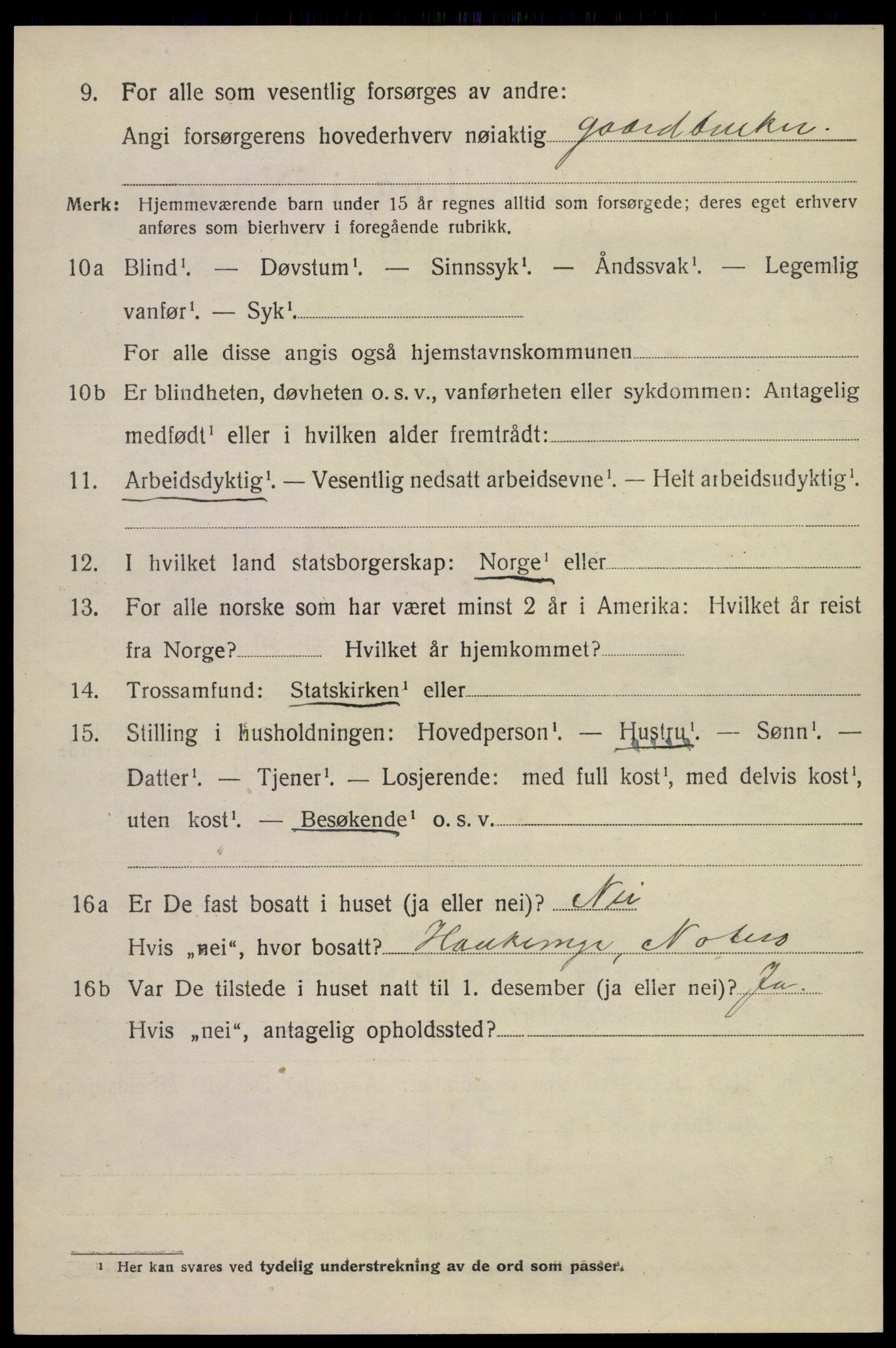 SAKO, 1920 census for Nøtterøy, 1920, p. 15196