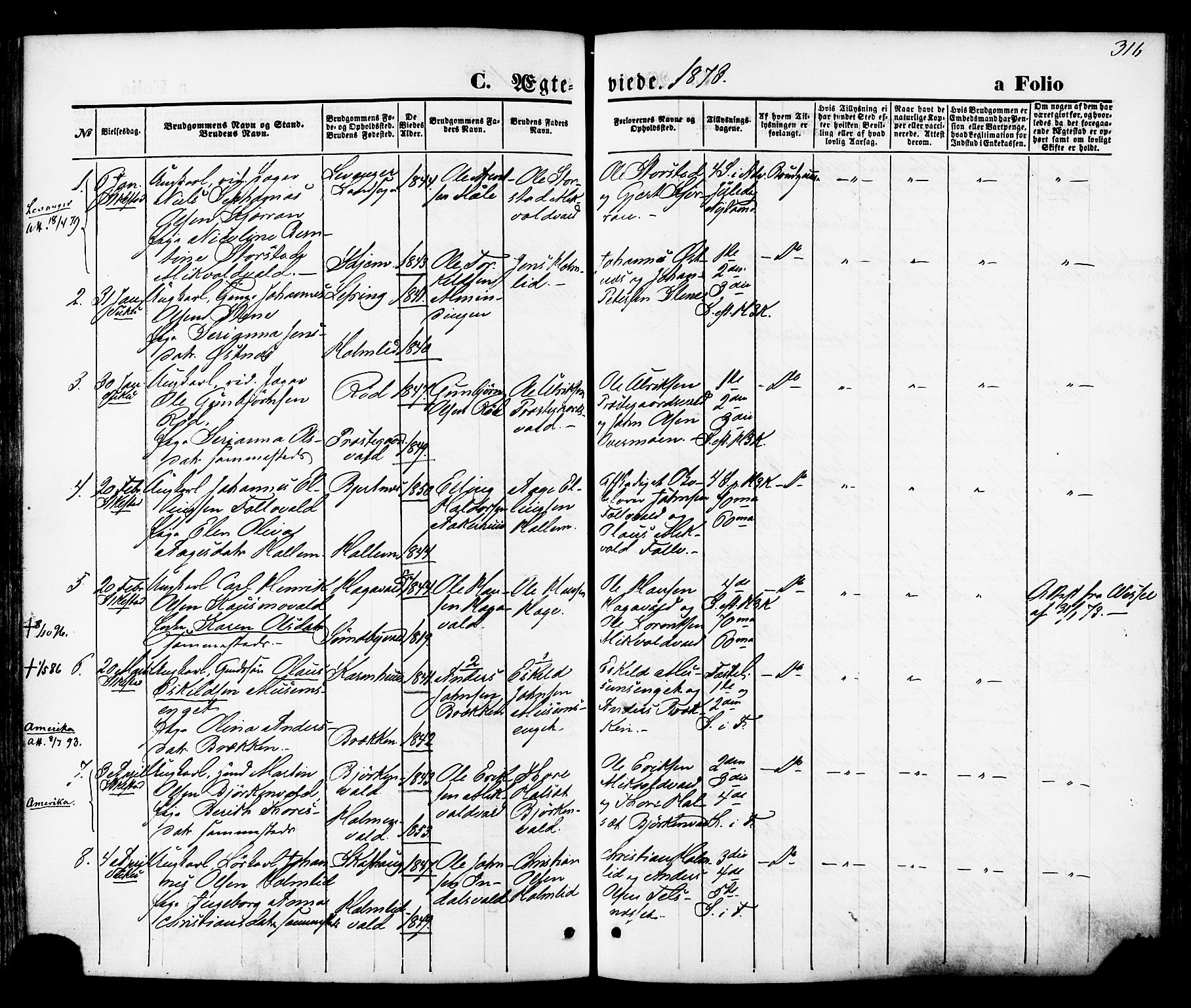 Ministerialprotokoller, klokkerbøker og fødselsregistre - Nord-Trøndelag, SAT/A-1458/723/L0242: Parish register (official) no. 723A11, 1870-1880, p. 316