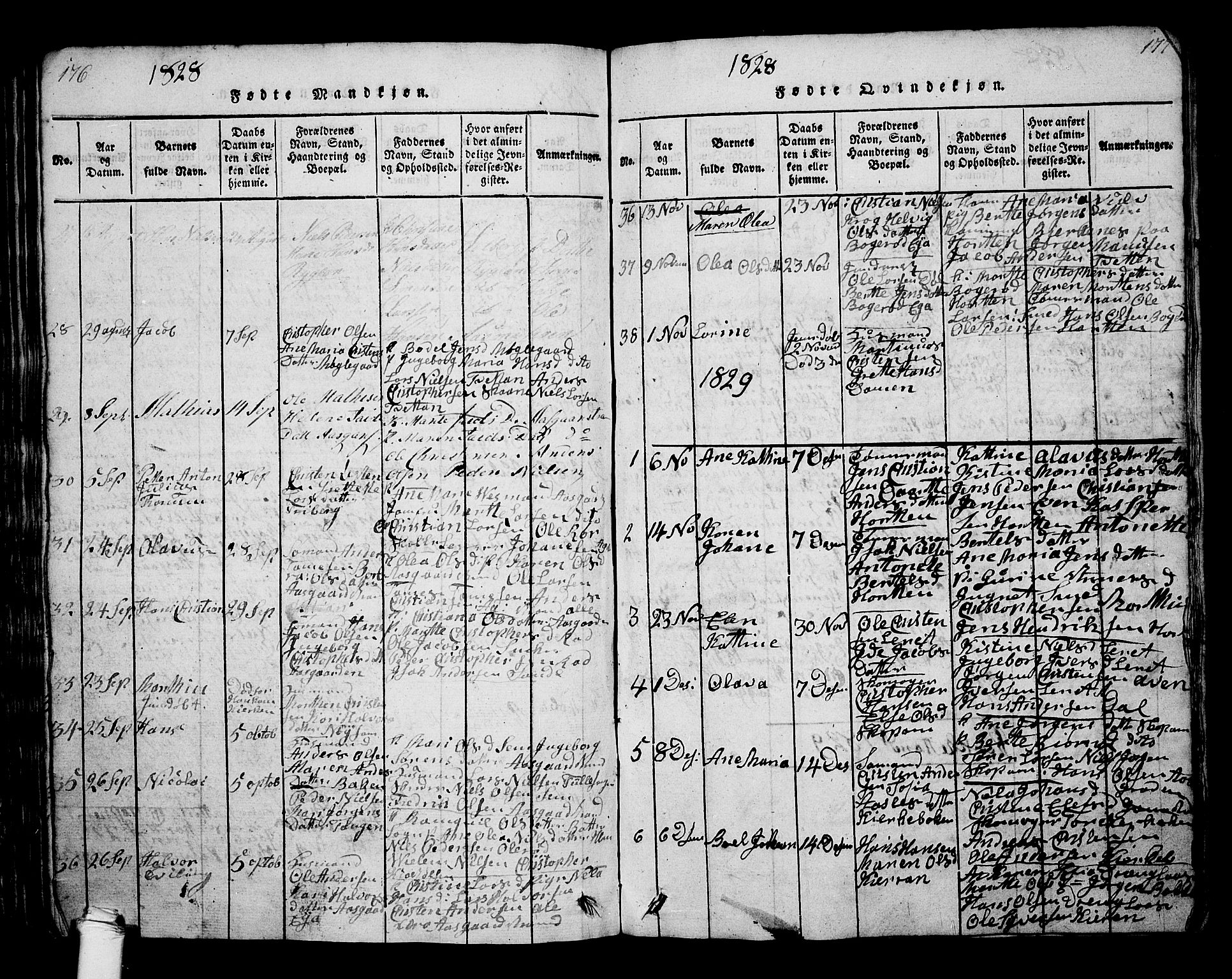 Borre kirkebøker, SAKO/A-338/G/Ga/L0001: Parish register (copy) no. I 1, 1815-1851, p. 176-177