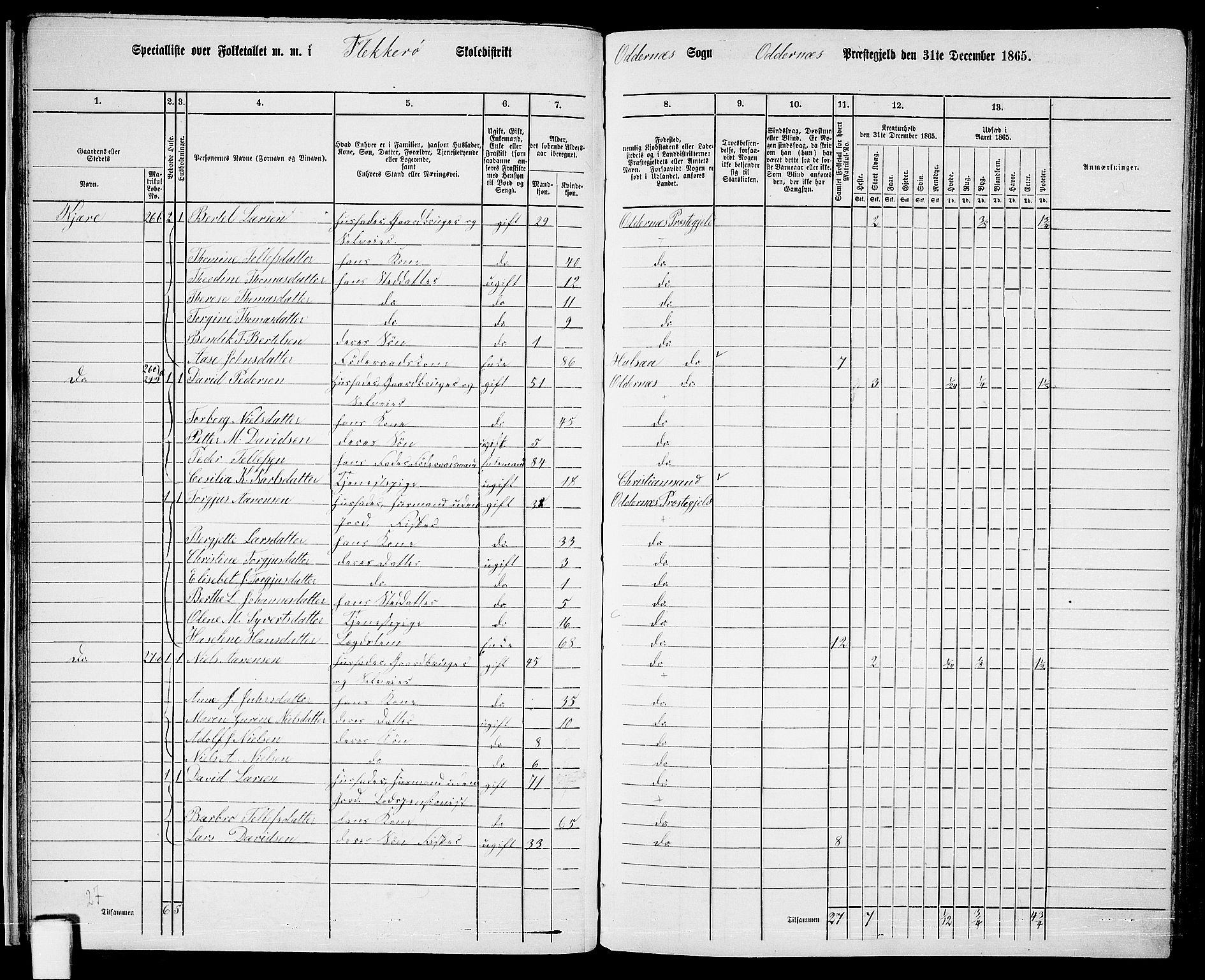 RA, 1865 census for Oddernes, 1865, p. 29