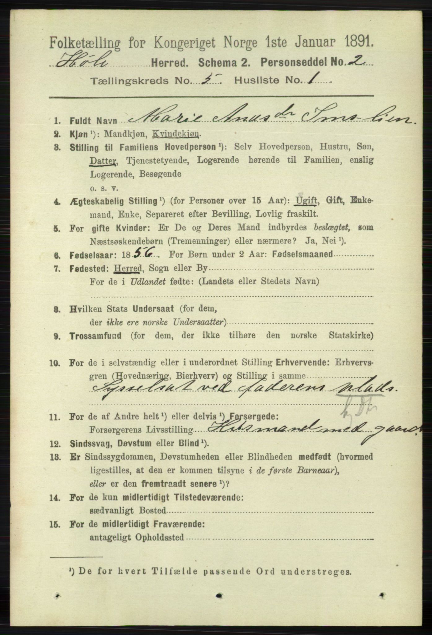 RA, 1891 census for 1128 Høle, 1891, p. 1054