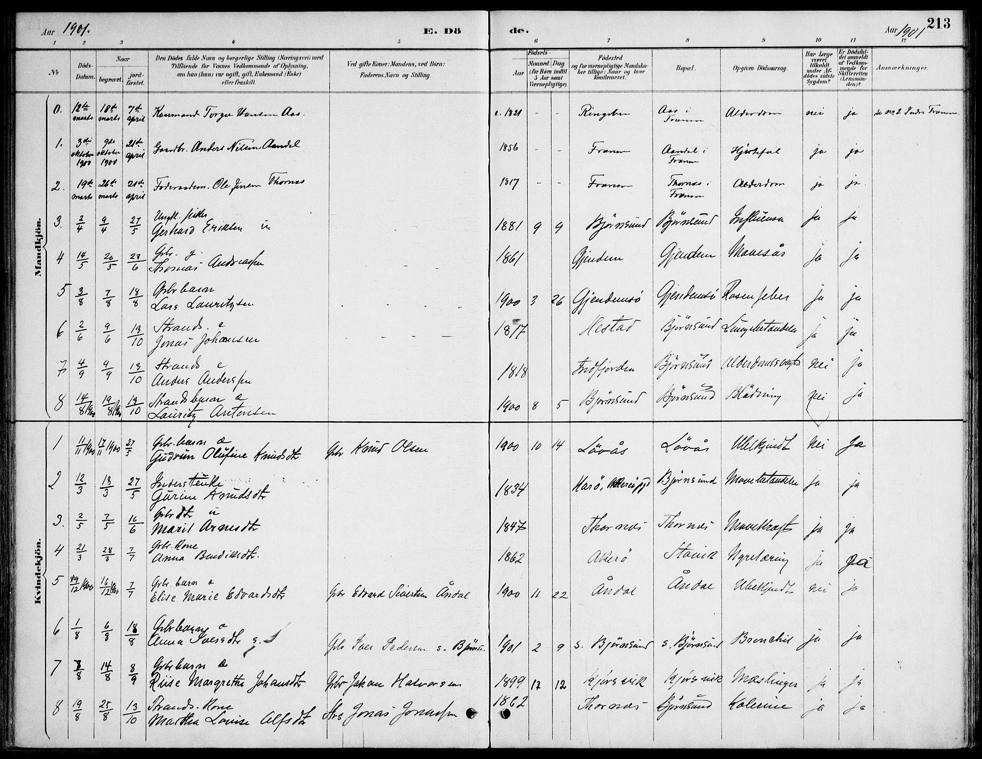 Ministerialprotokoller, klokkerbøker og fødselsregistre - Møre og Romsdal, AV/SAT-A-1454/565/L0750: Parish register (official) no. 565A04, 1887-1905, p. 213