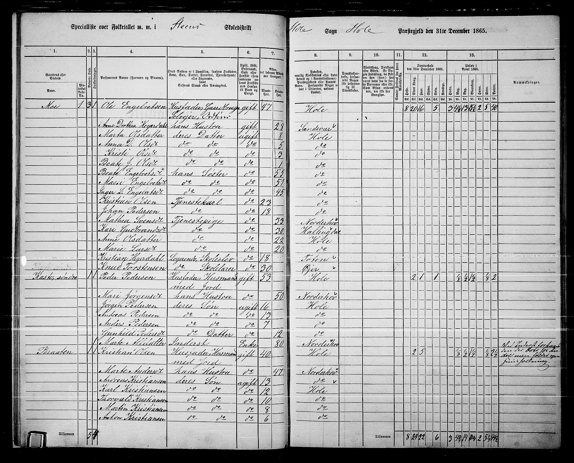 RA, 1865 census for Hole, 1865, p. 14