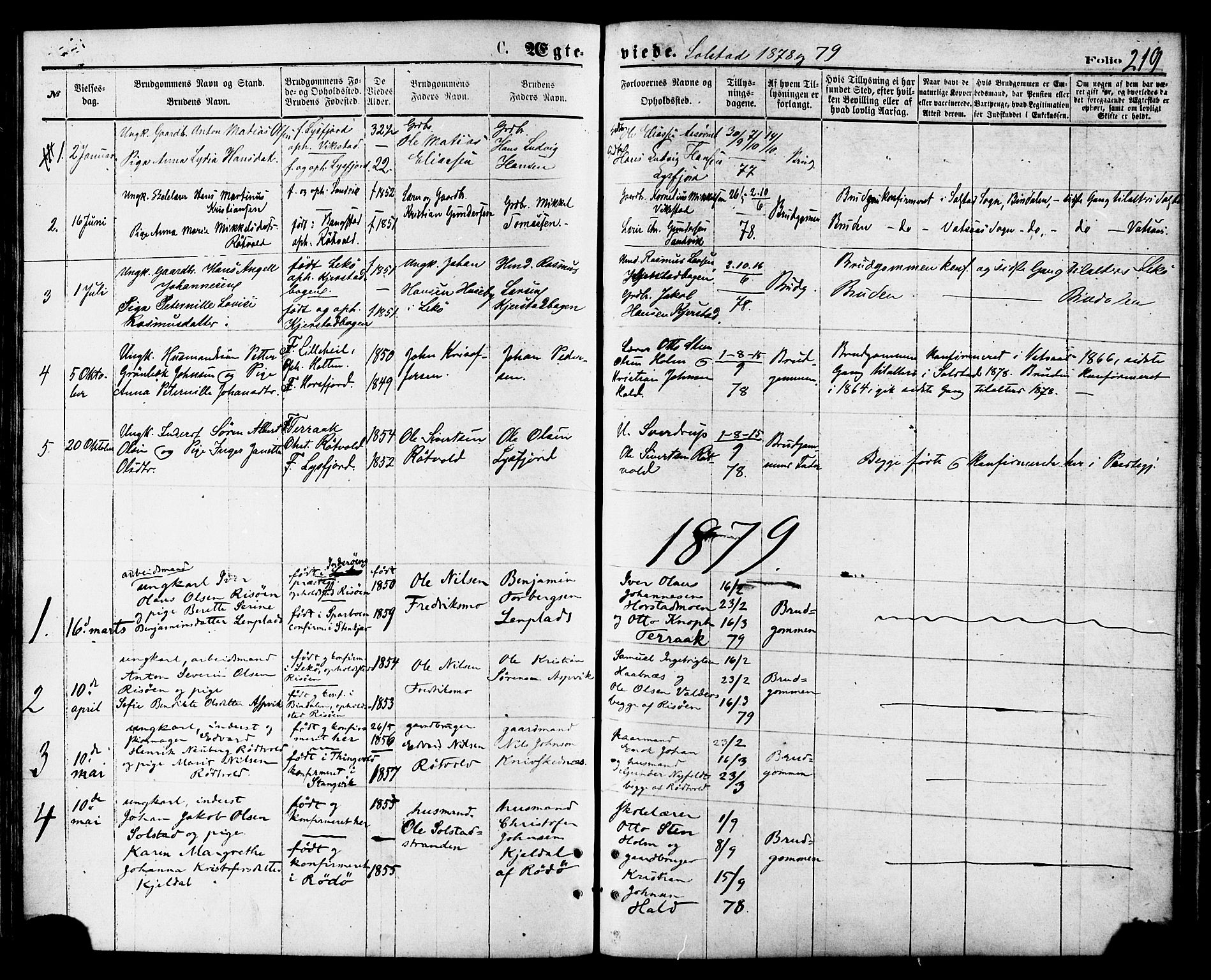 Ministerialprotokoller, klokkerbøker og fødselsregistre - Nordland, AV/SAT-A-1459/810/L0149: Parish register (official) no. 810A09 /2, 1874-1884, p. 219